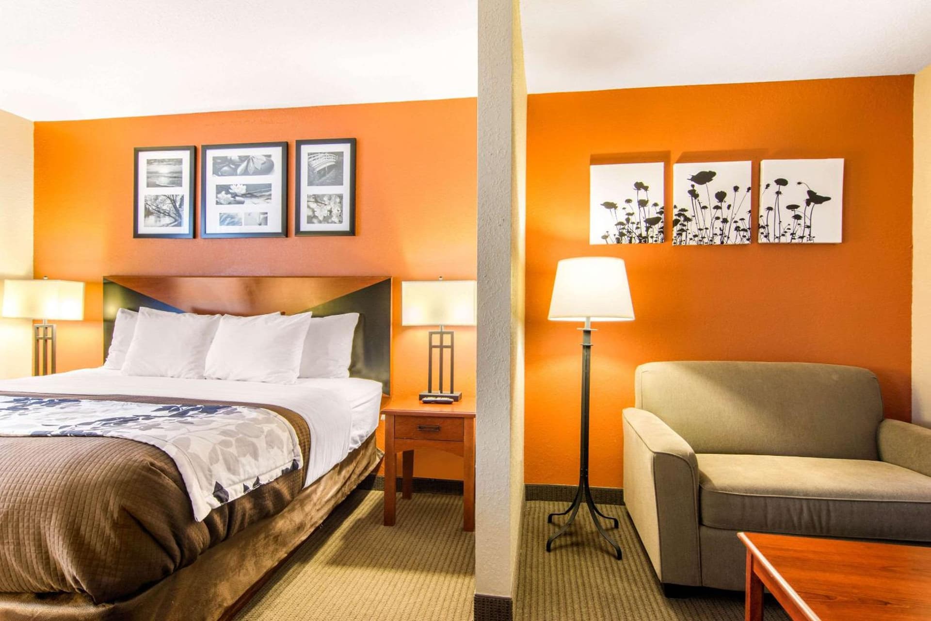 Sleep Inn & Suites Athens South gallery photo in Athens, GA — image 7