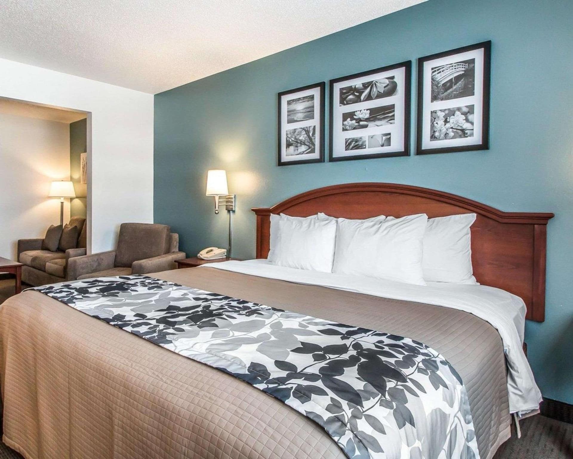 Sleep Inn & Suites Mount Vernon gallery photo in Mount Vernon, IA — image 17