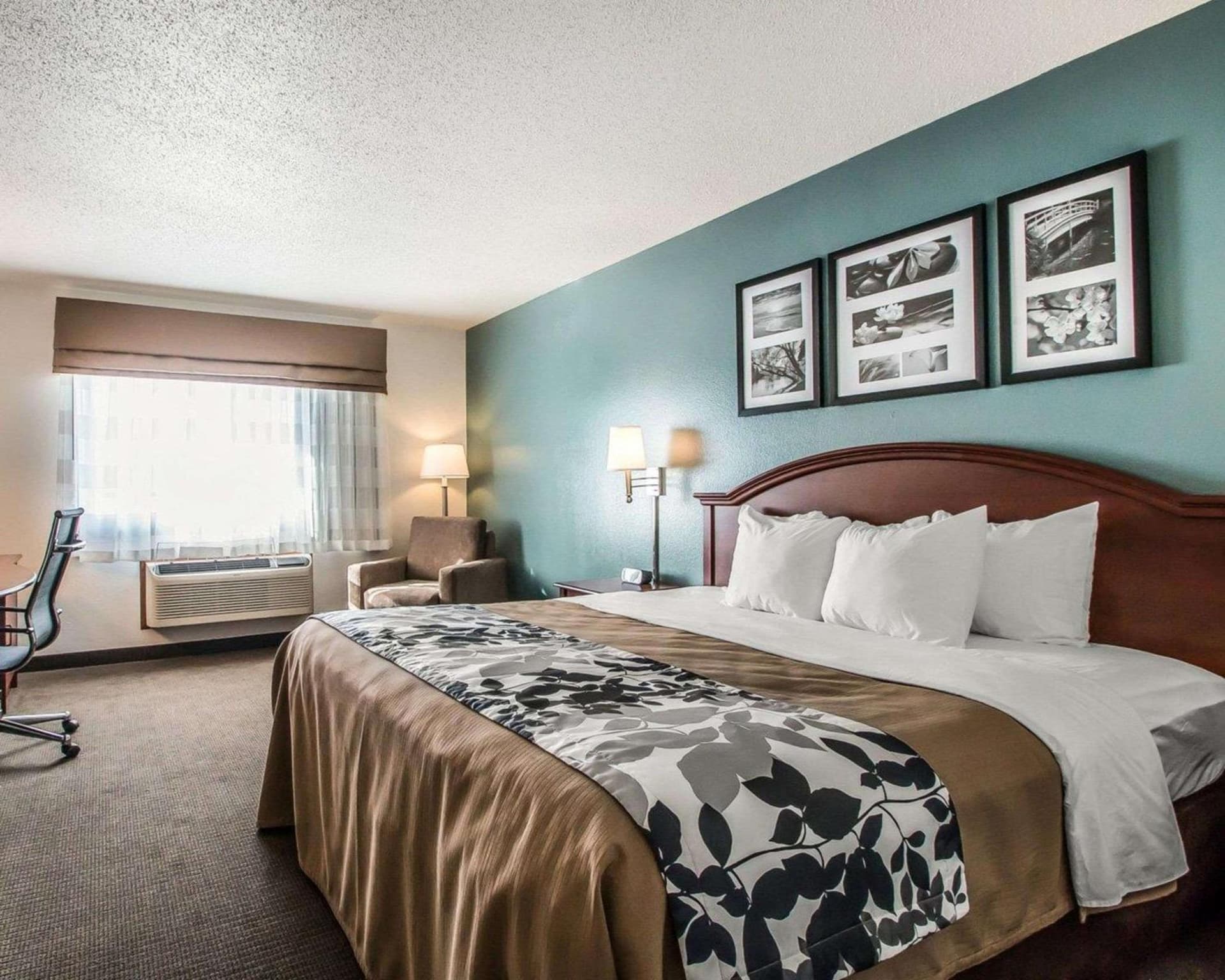 Sleep Inn & Suites Mount Vernon gallery photo in Mount Vernon, IA — image 18