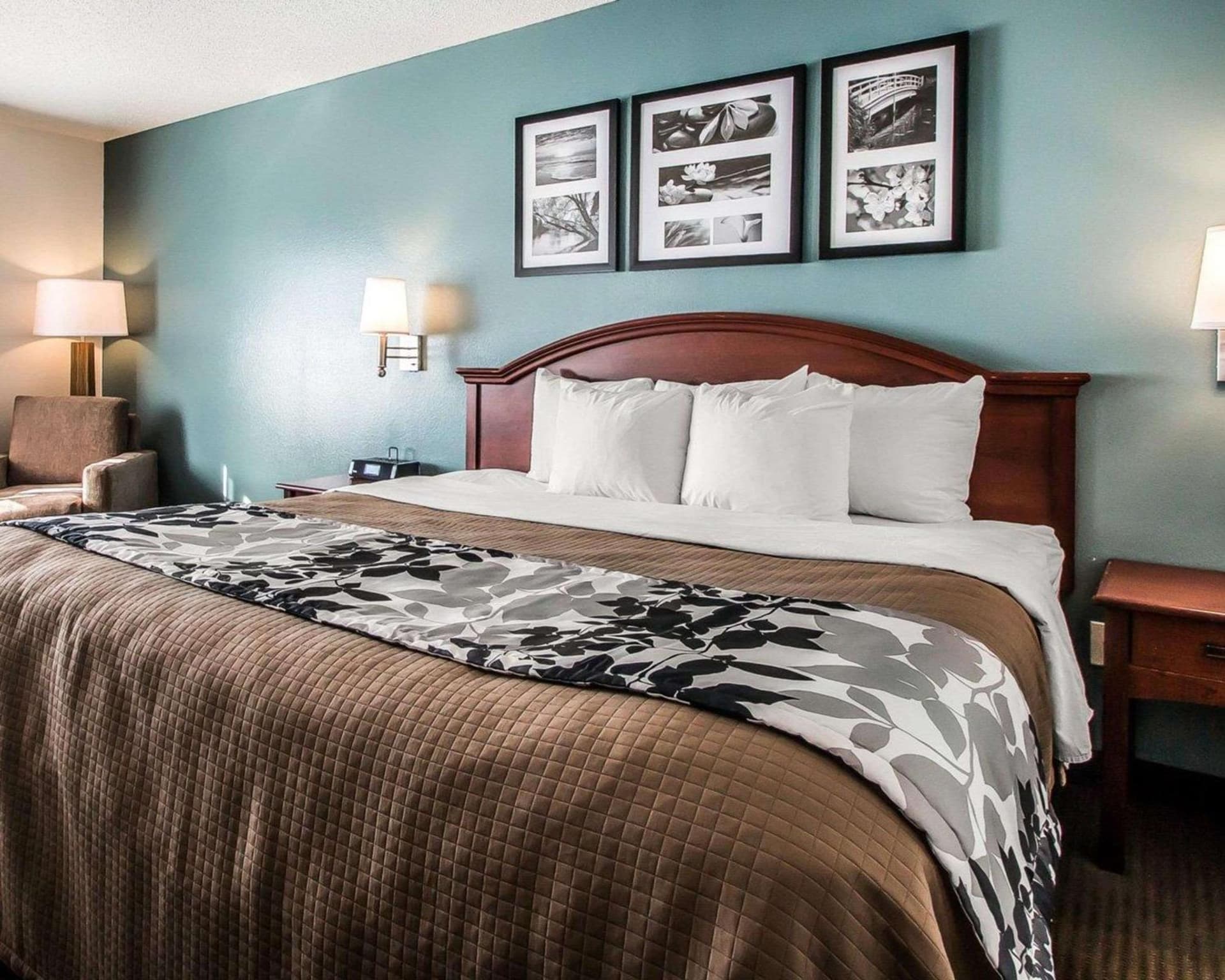 Sleep Inn & Suites Mount Vernon gallery photo in Mount Vernon, IA — image 9