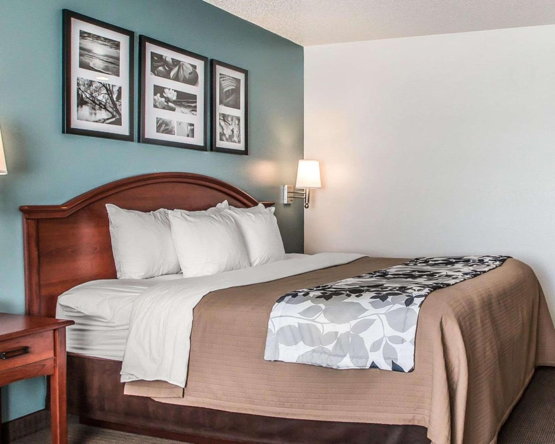 Sleep Inn & Suites Mount Vernon gallery photo in Mount Vernon, IA — image 28