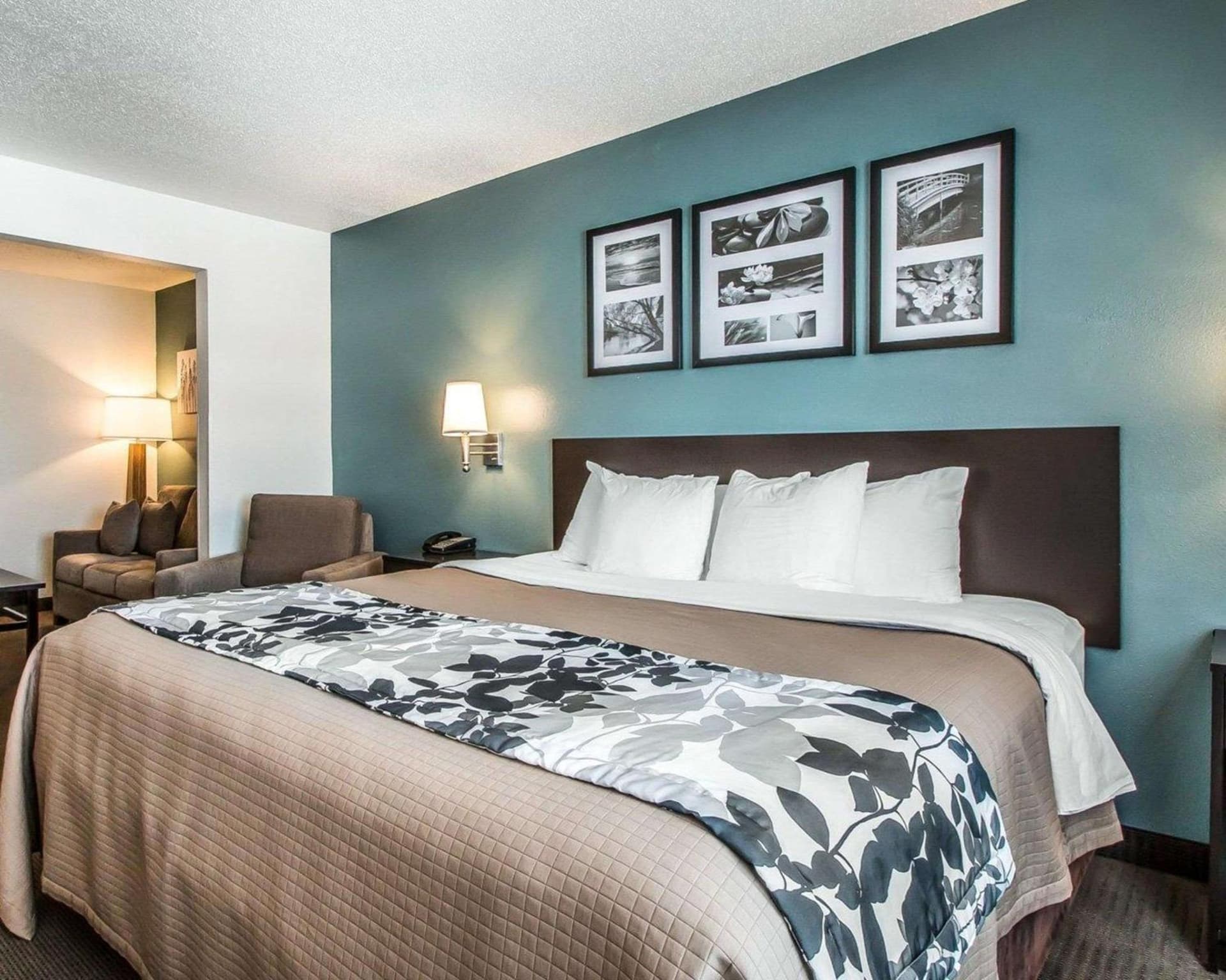 Sleep Inn & Suites Mount Vernon gallery photo in Mount Vernon, IA — image 36