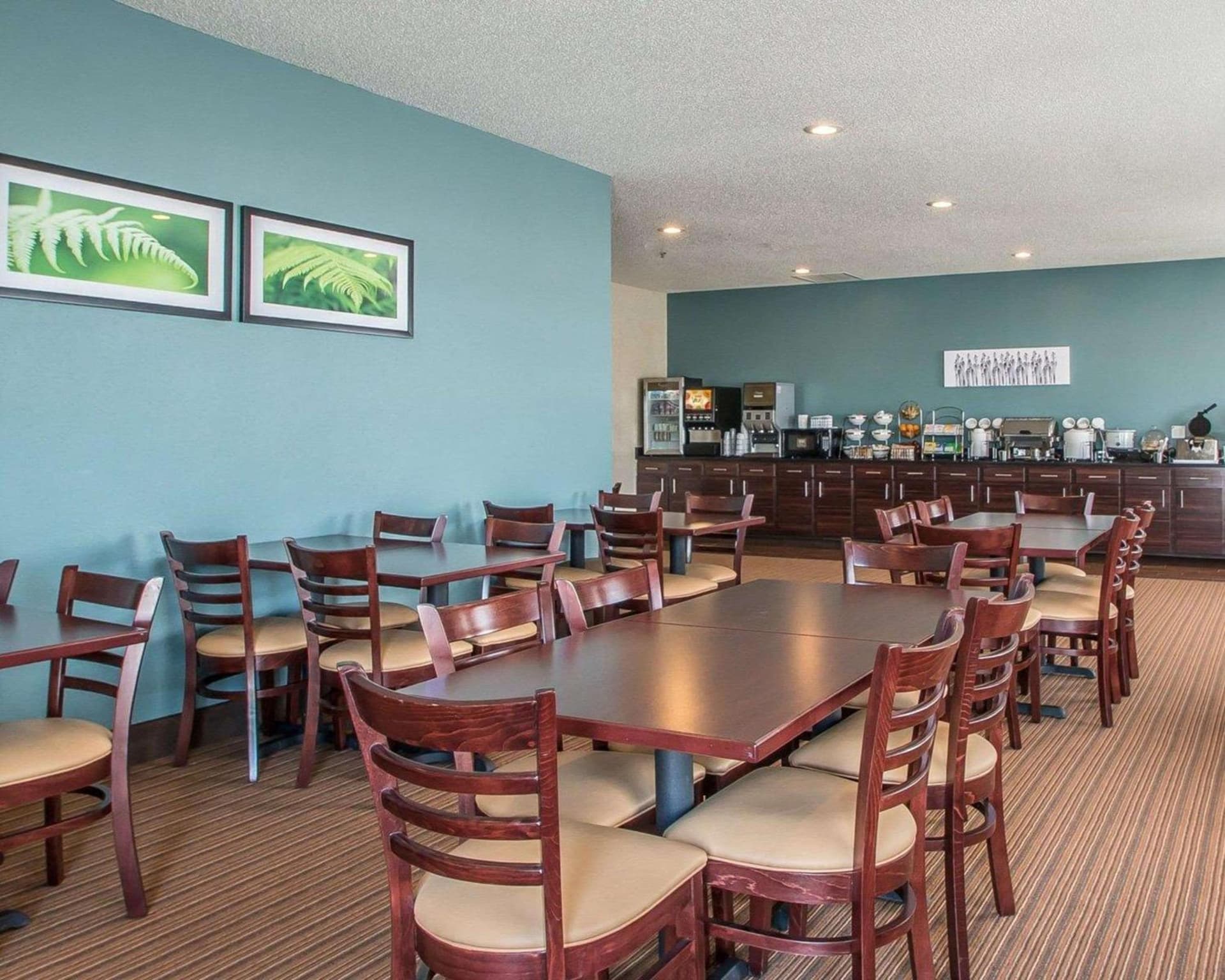 Sleep Inn & Suites Mount Vernon gallery photo in Mount Vernon, IA — image 5