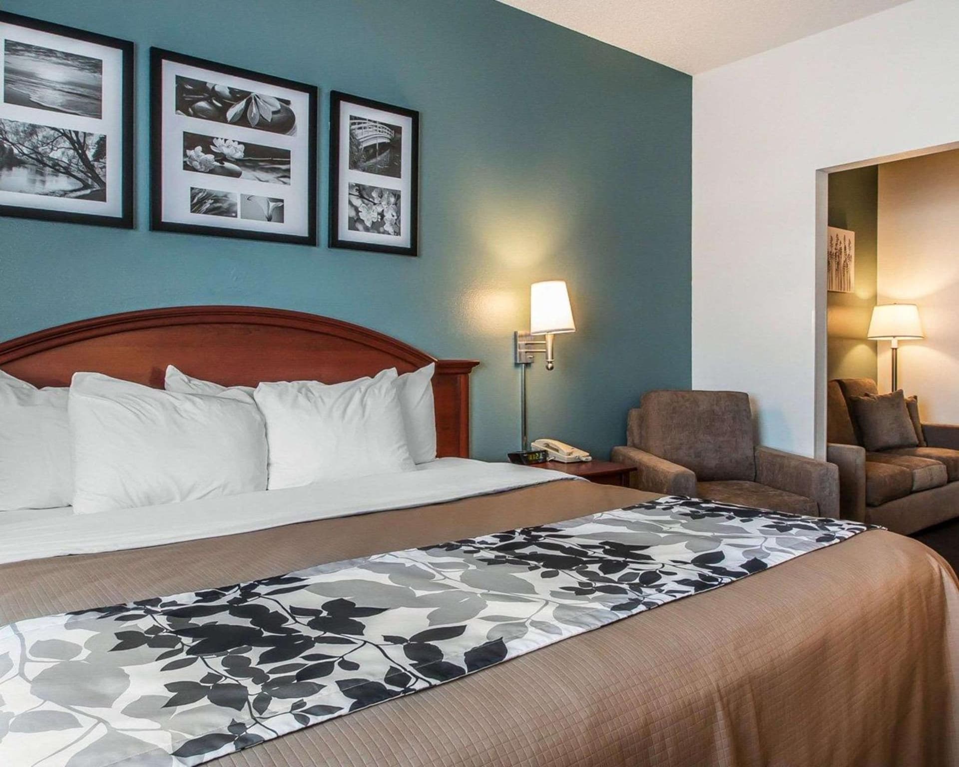 Sleep Inn & Suites Mount Vernon gallery photo in Mount Vernon, IA — image 14