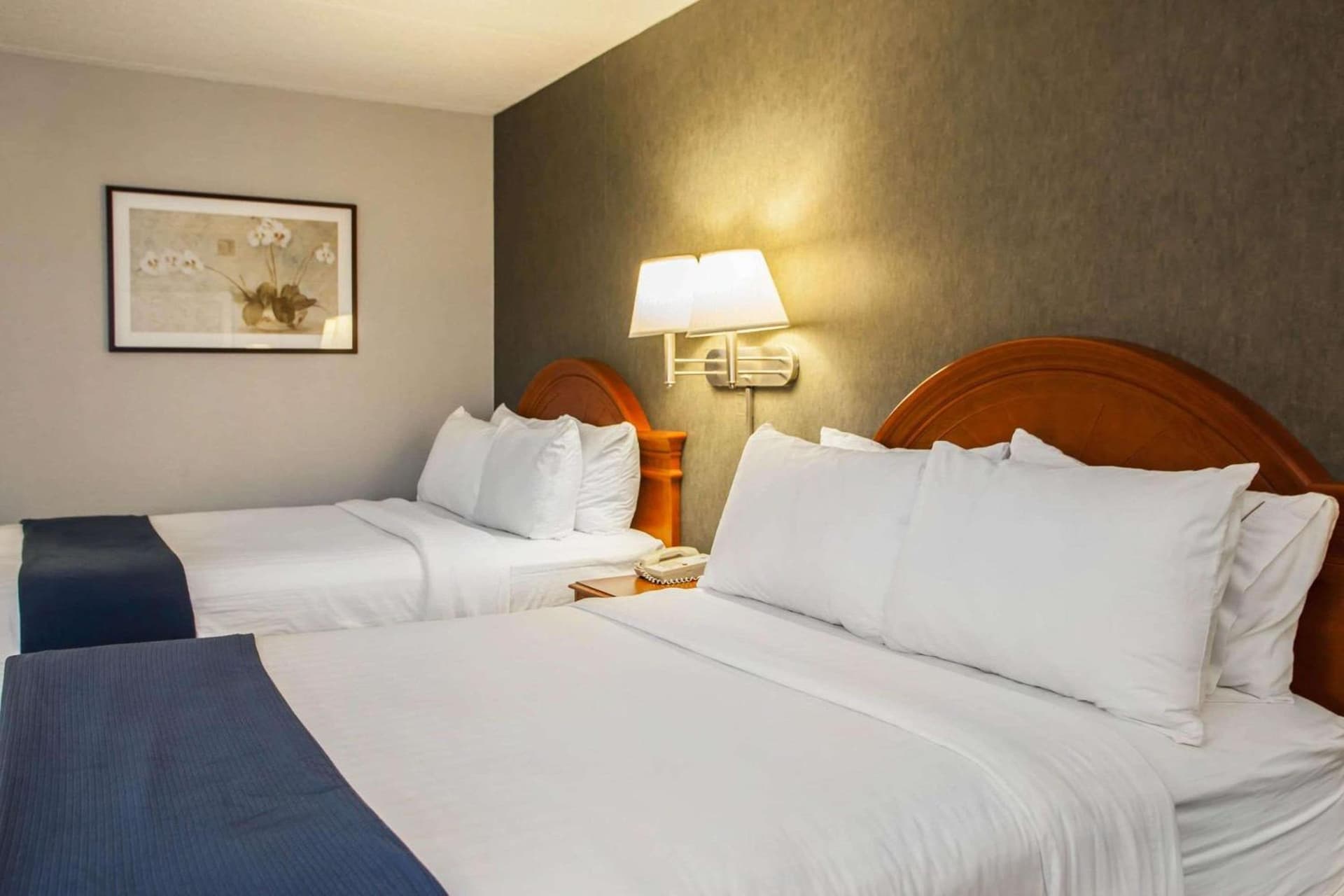 Quality Inn & Suites St Charles -West Chicago gallery photo in Saint Charles, IL — image 13