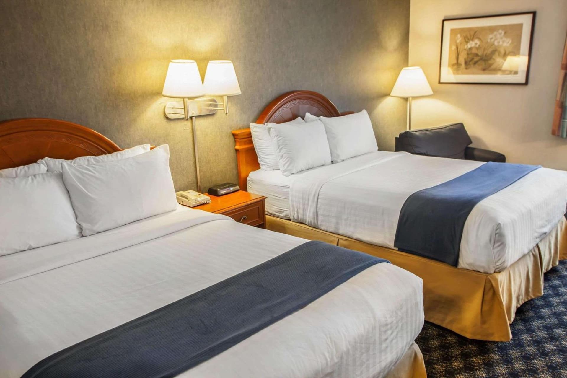 Quality Inn & Suites St Charles -West Chicago gallery photo in Saint Charles, IL — image 5