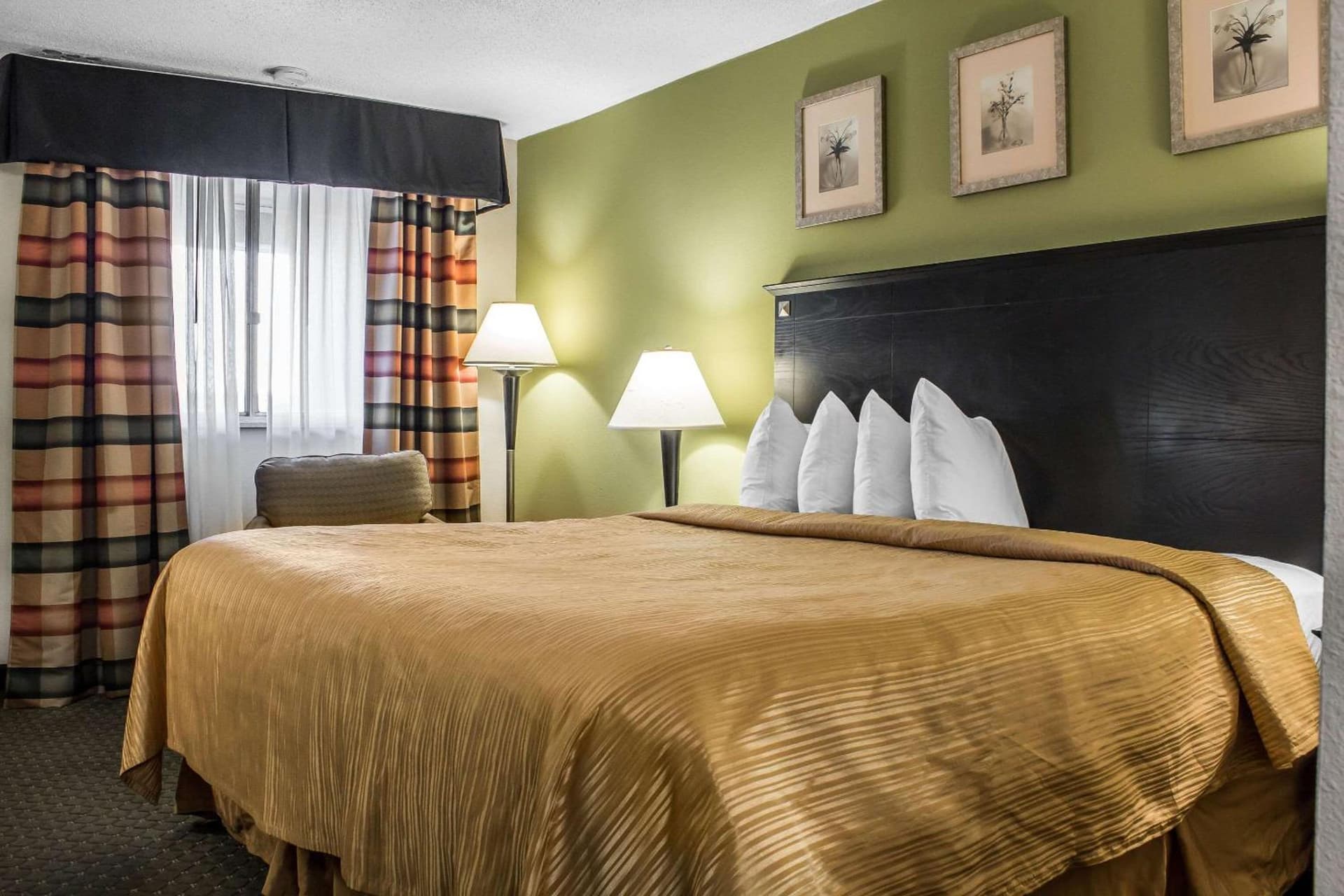 Quality Inn & Suites Moline Airport property views in Moline, IL — gallery photo 3