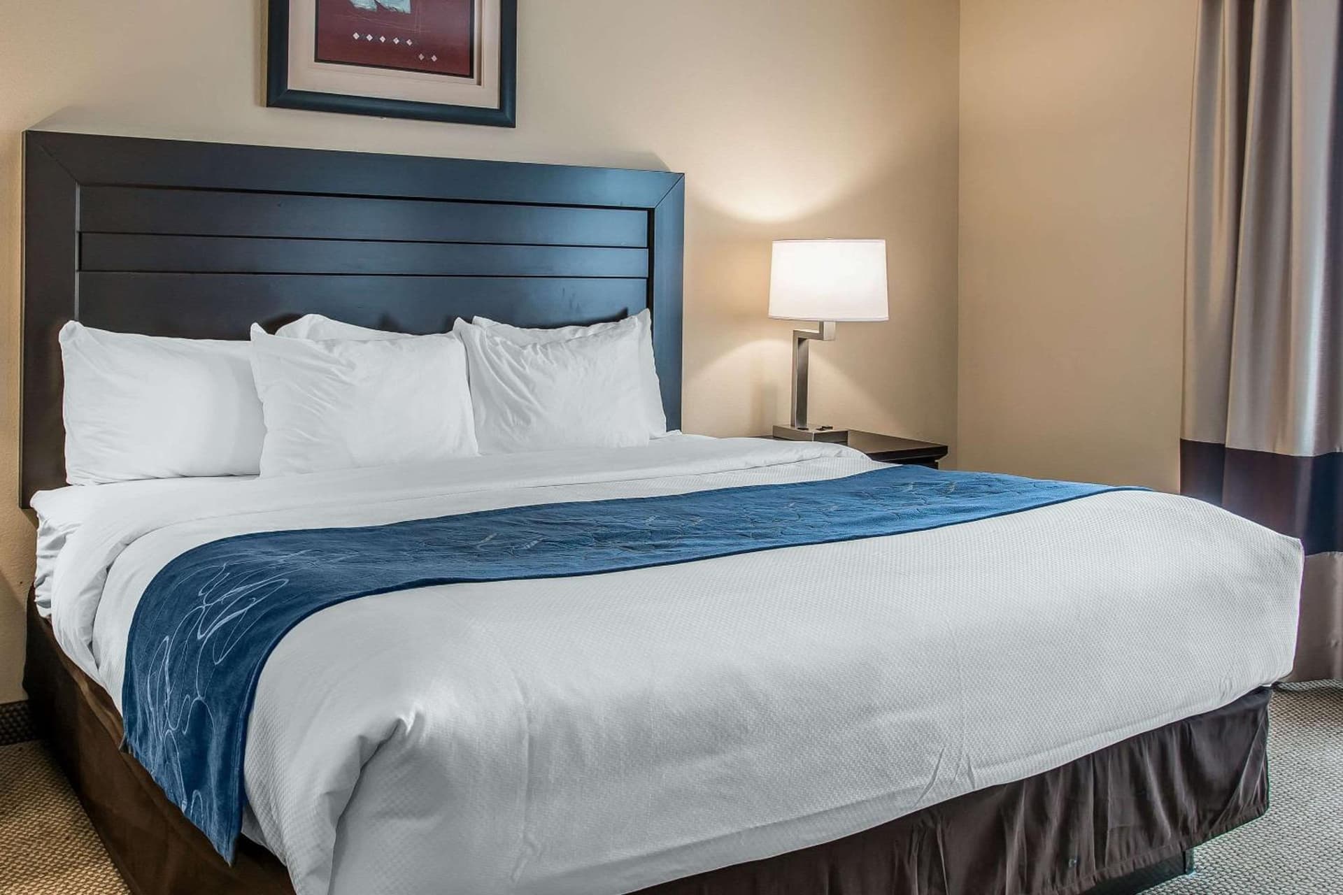 Comfort Suites South Bend Near Casino gallery photo in South Bend, IN — image 26