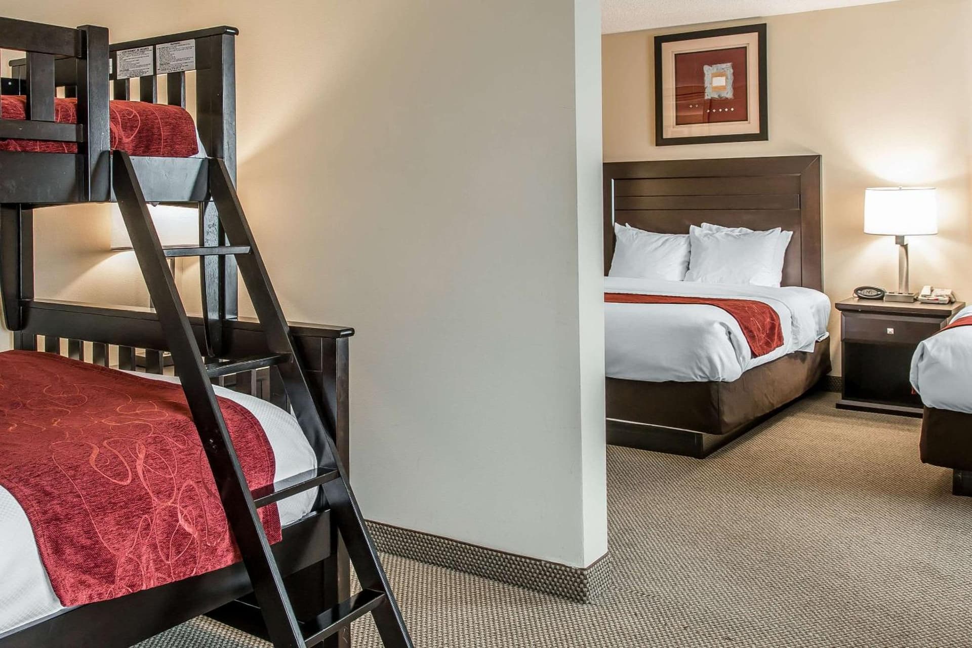 Comfort Suites South Bend Near Casino gallery photo in South Bend, IN — image 16