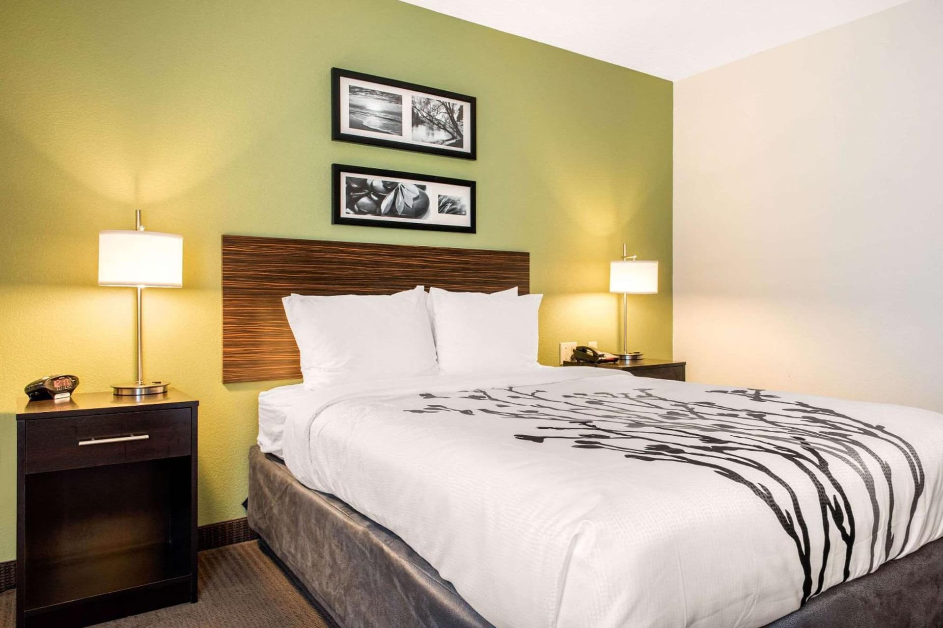 Sleep Inn & Suites Columbus South gallery photo in Columbus, IN — image 24