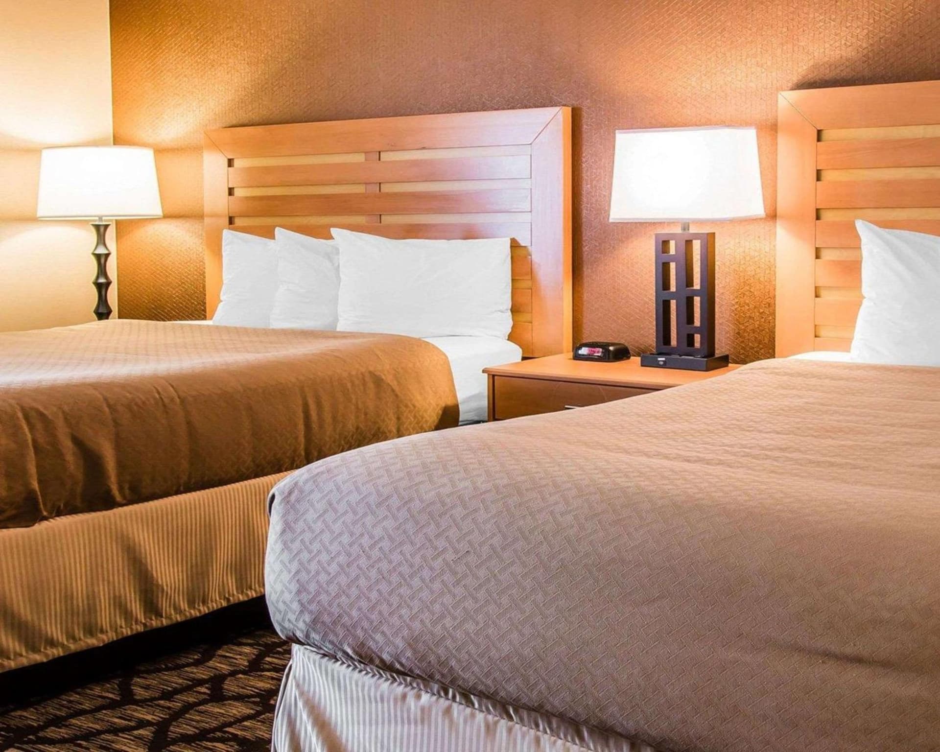 Quality Inn & Suites Warren - Detroit property views in Warren, MI — gallery photo 3