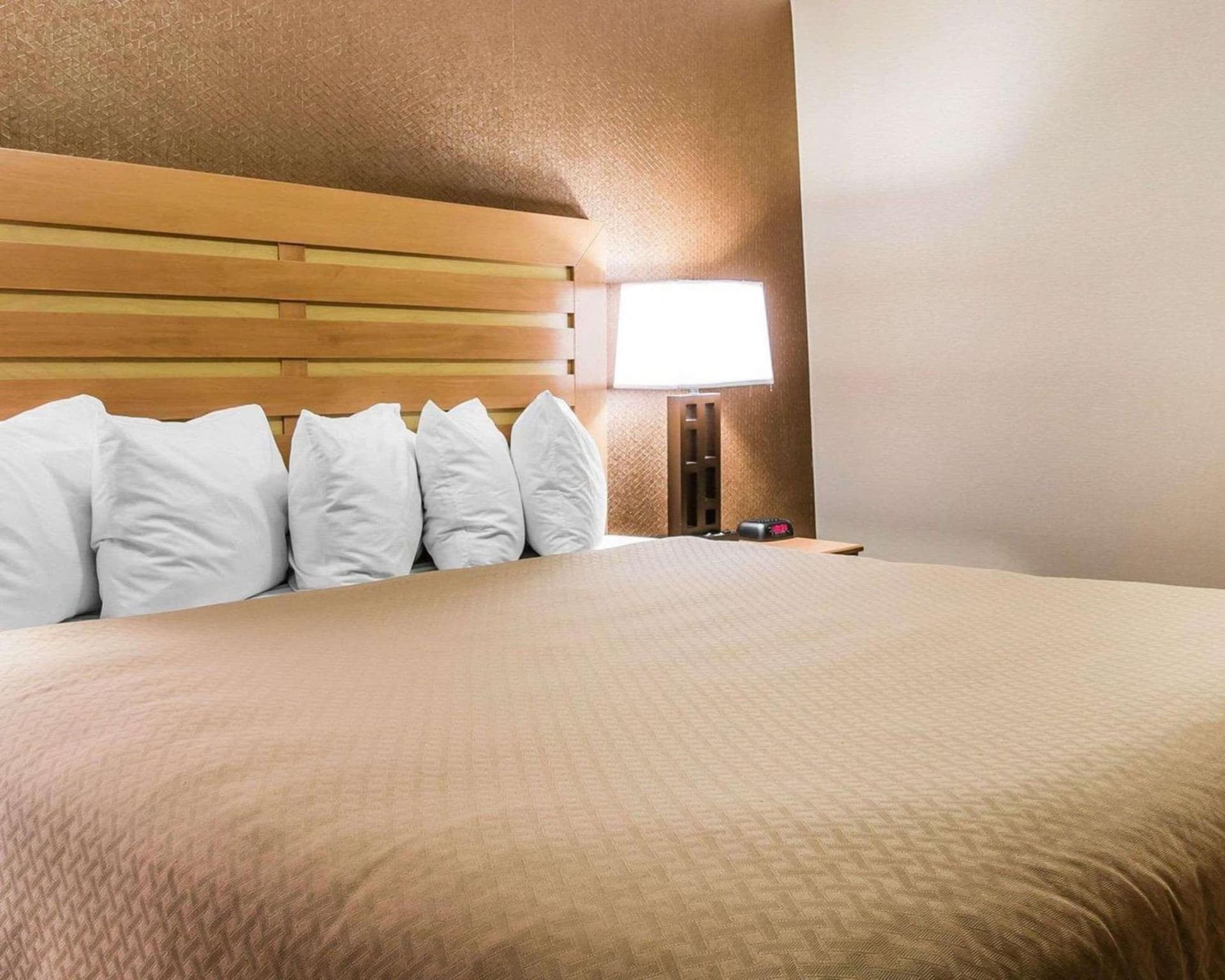 Quality Inn & Suites Warren - Detroit gallery photo in Warren, MI — image 11