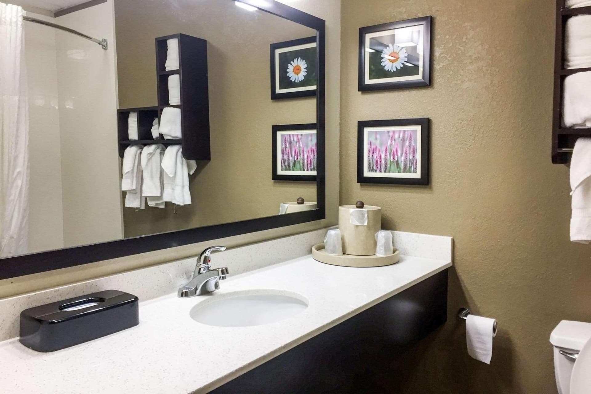 Comfort Suites Regency Park gallery photo in Cary, NC — image 31