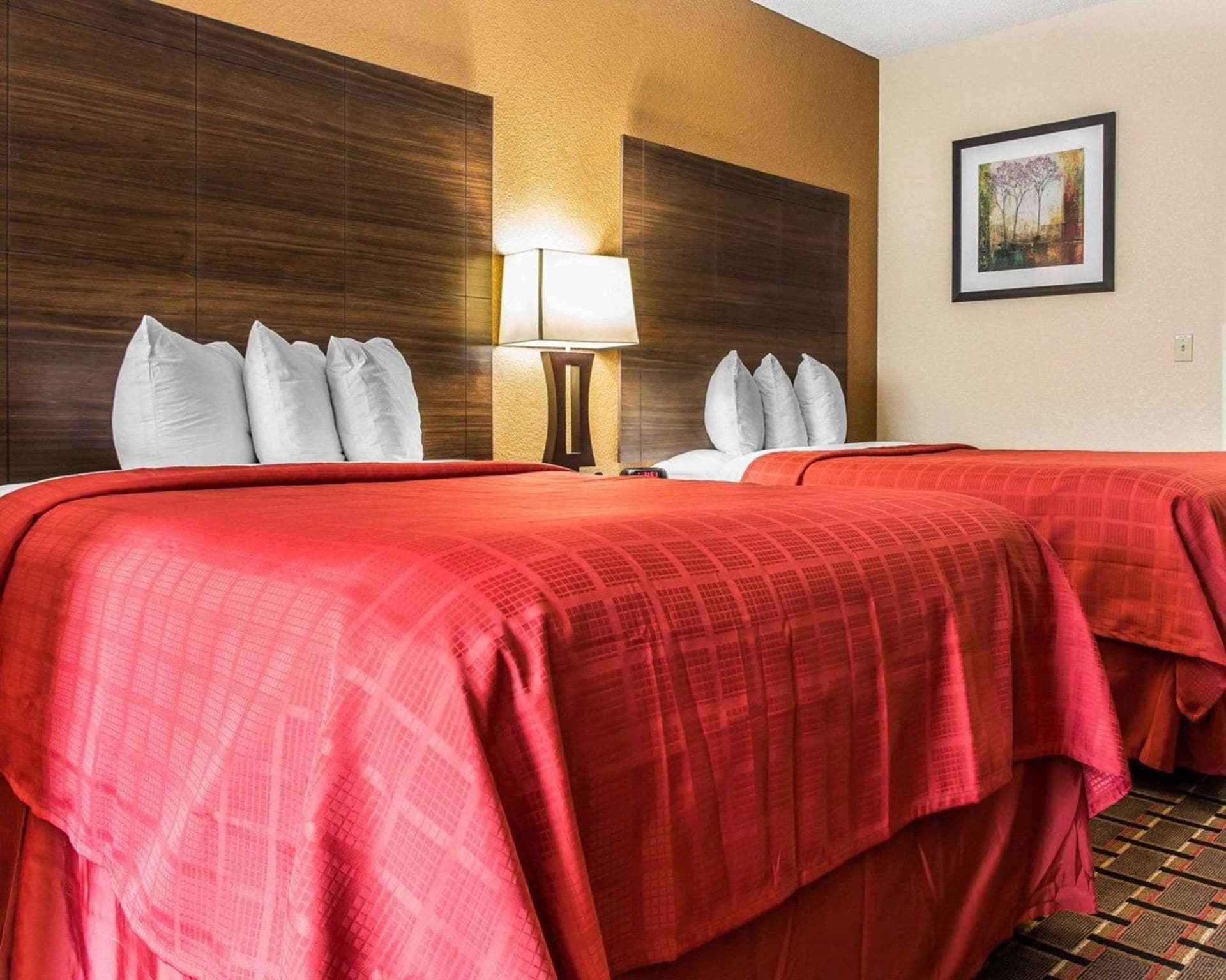 Quality Suites Hickory South gallery photo in Hickory, NC — image 42
