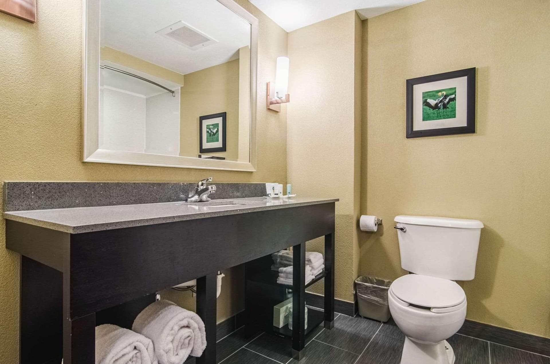Quality Suites Graham - Burlington South gallery photo in Graham, NC — image 24