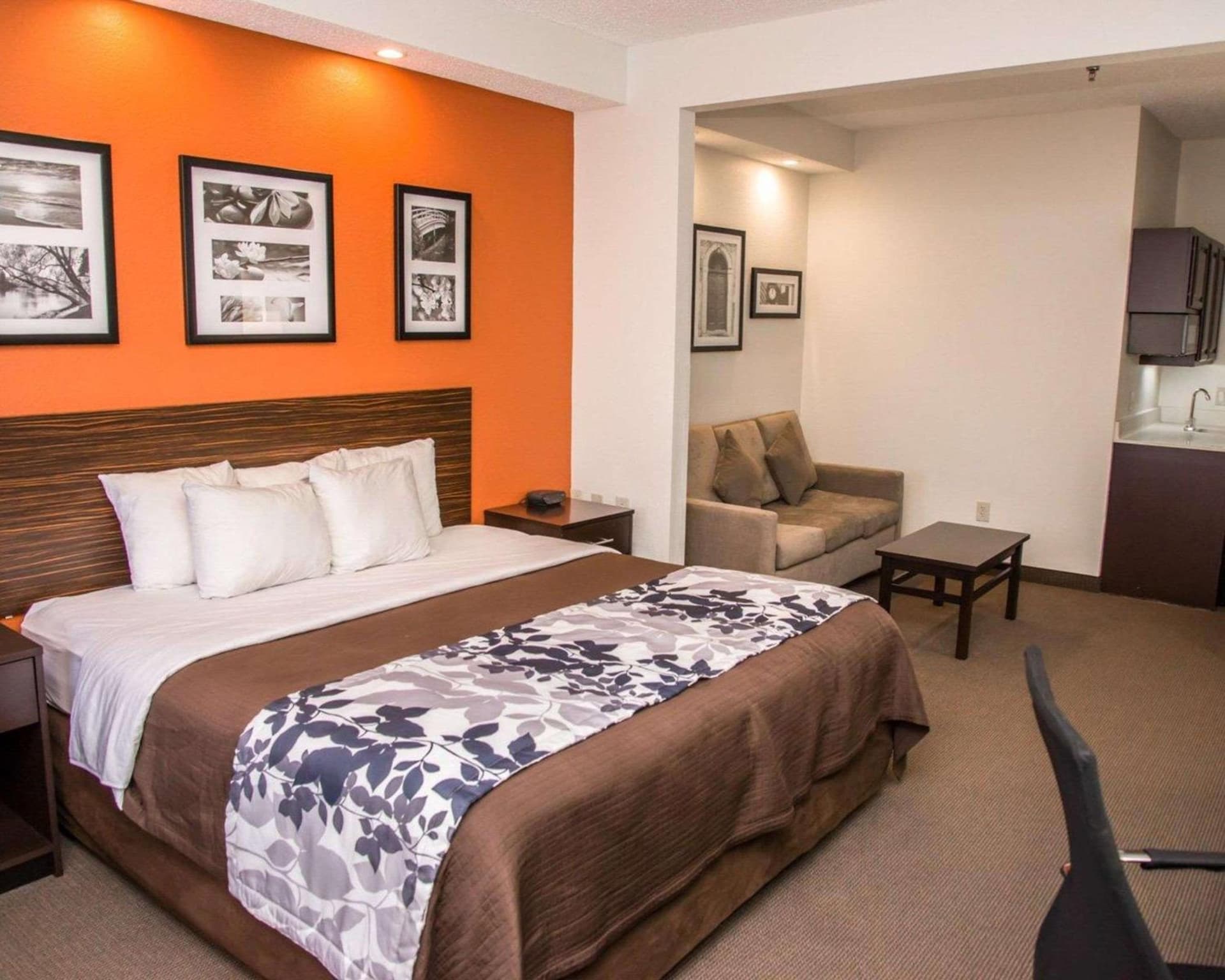 Sleep Inn & Suites at Concord Mills gallery photo in Concord, NC — image 24