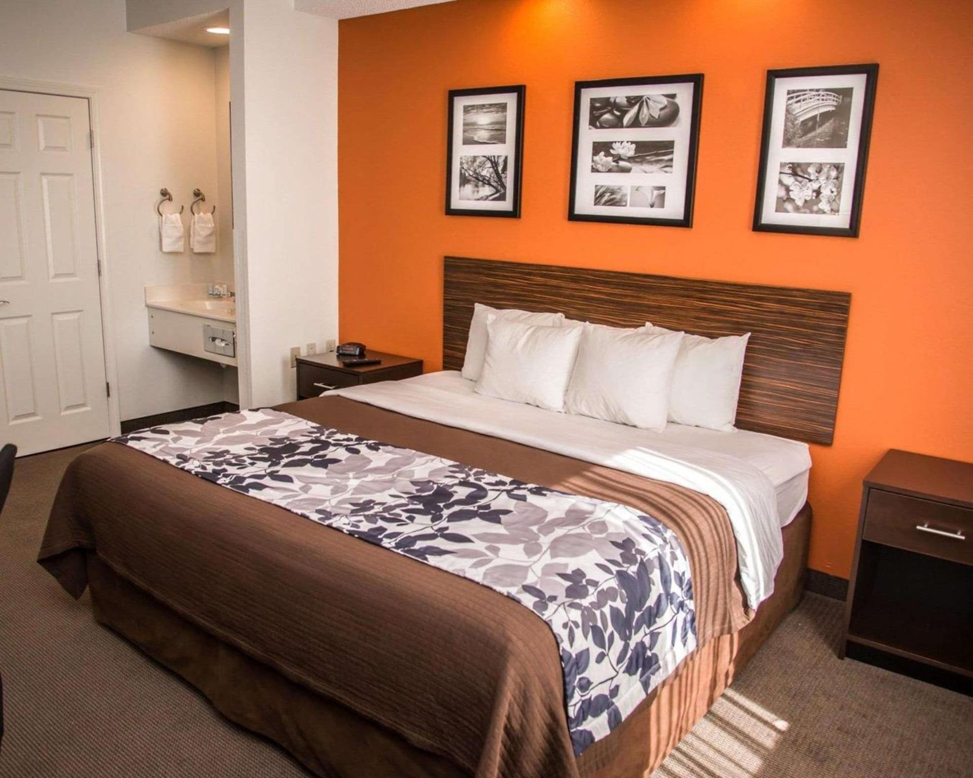 Sleep Inn & Suites at Concord Mills gallery photo in Concord, NC — image 8