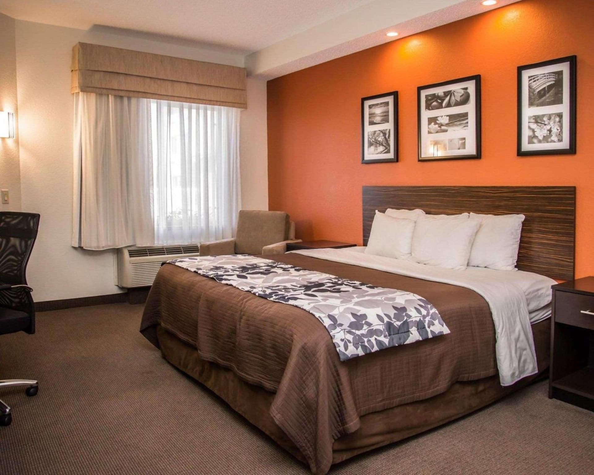 Sleep Inn & Suites at Concord Mills gallery photo in Concord, NC — image 14