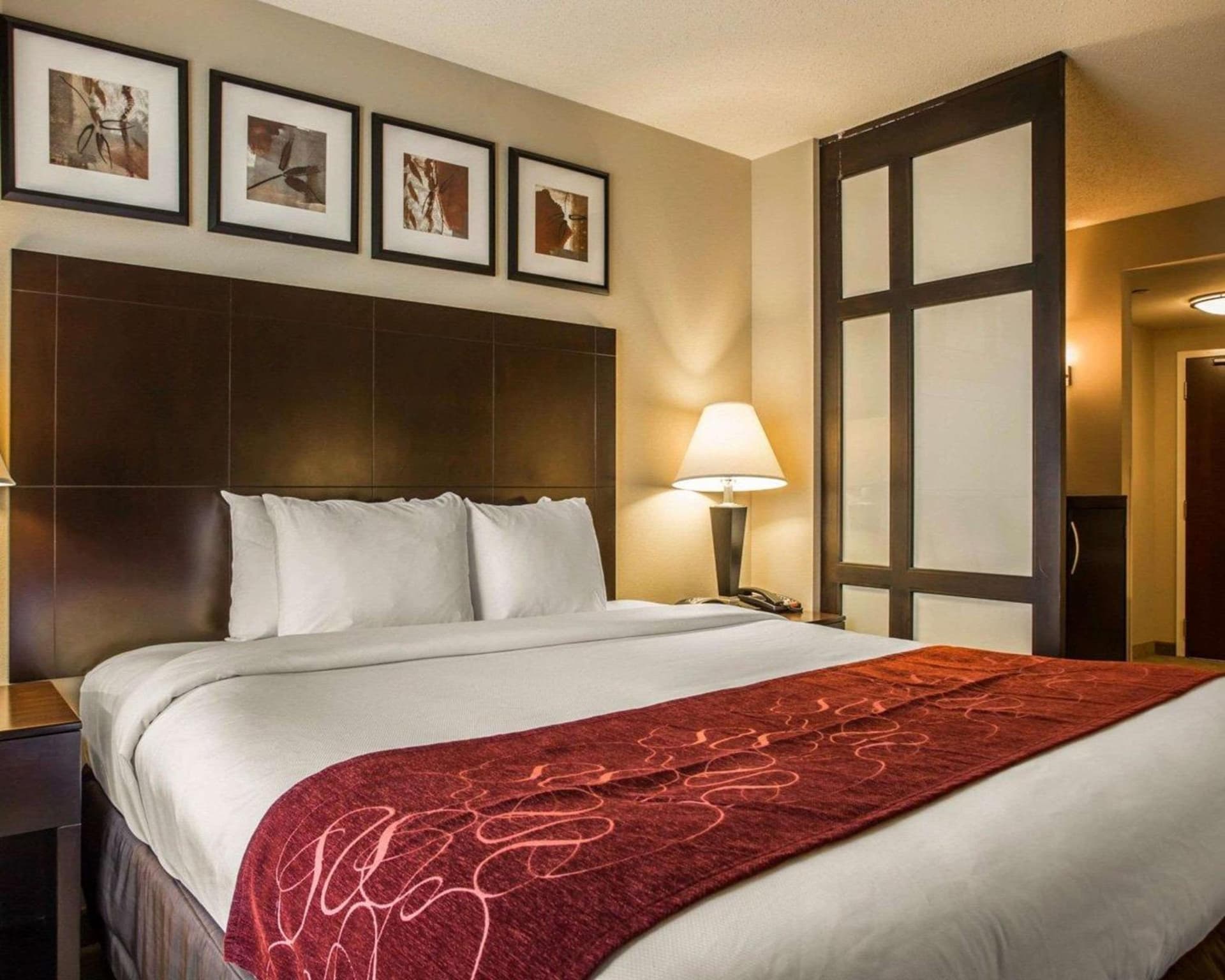 Comfort Suites Huntersville near Lake Norman gallery photo in Huntersville, NC — image 14