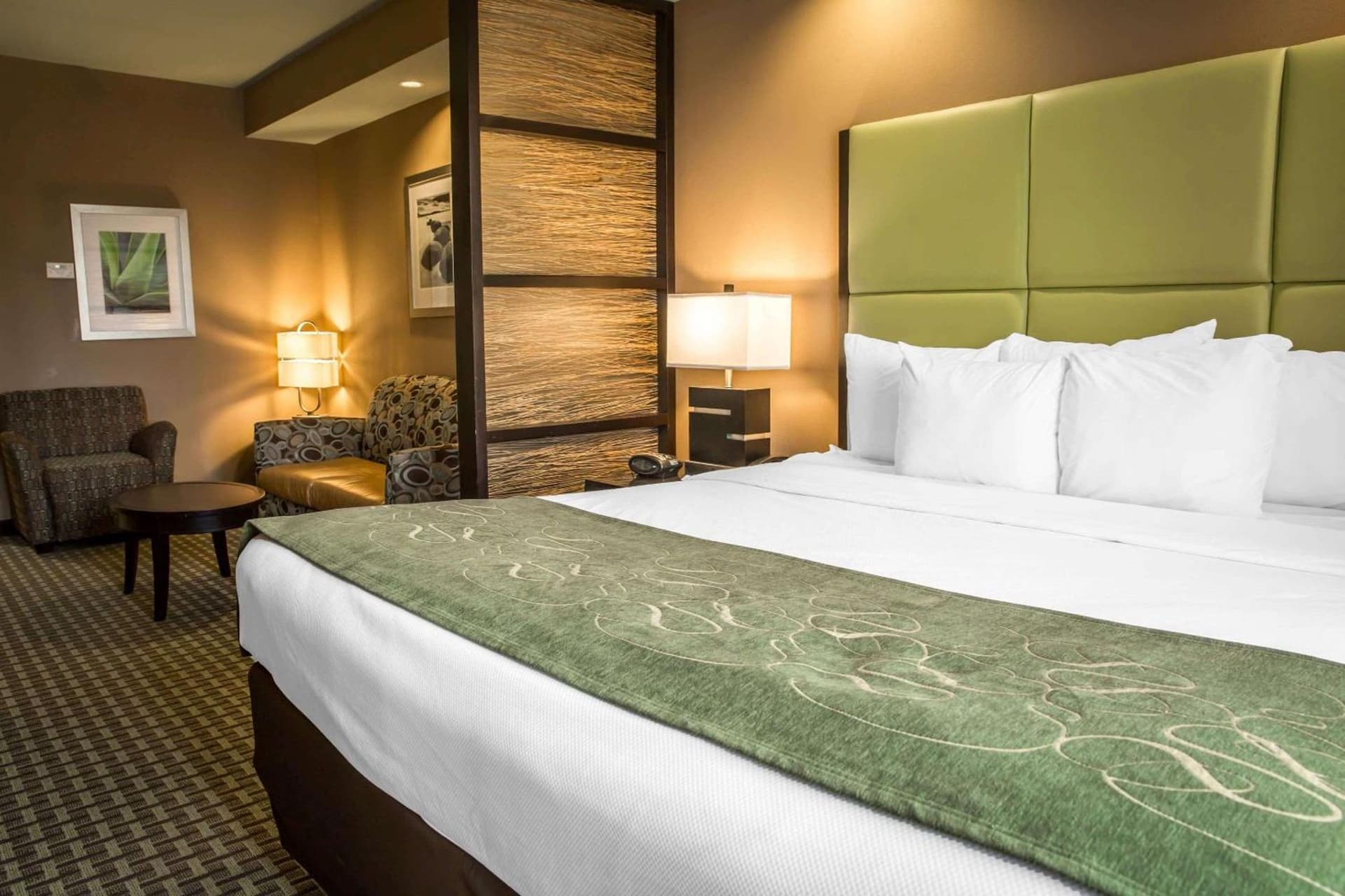 Comfort Suites New Bern near Cherry Point gallery photo in New Bern, NC — image 20