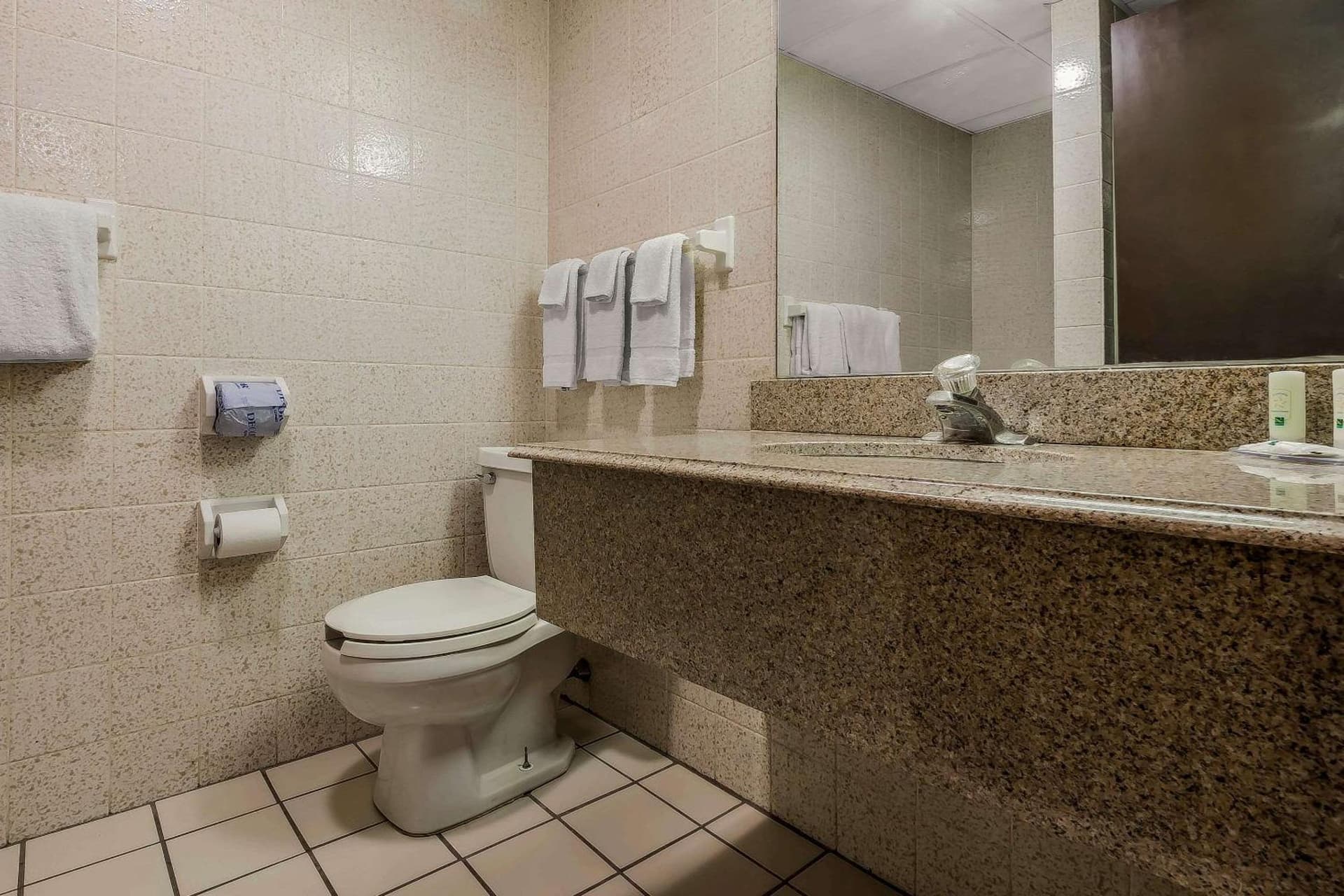 Quality Inn & Suites Binghamton Vestal gallery photo in Binghamton, NY — image 17
