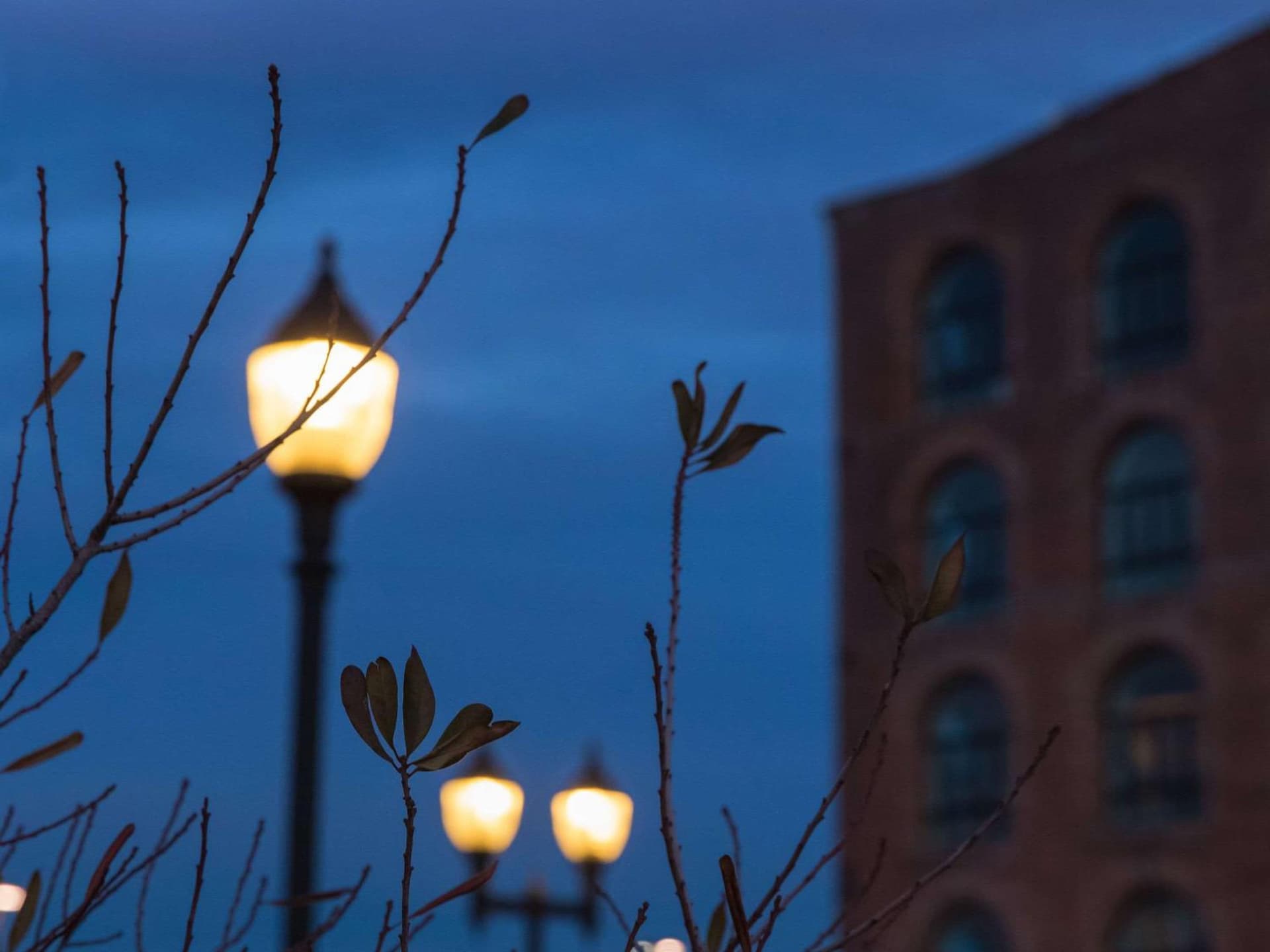 The Lodge Red Hook gallery photo in Brooklyn, NY — image 31