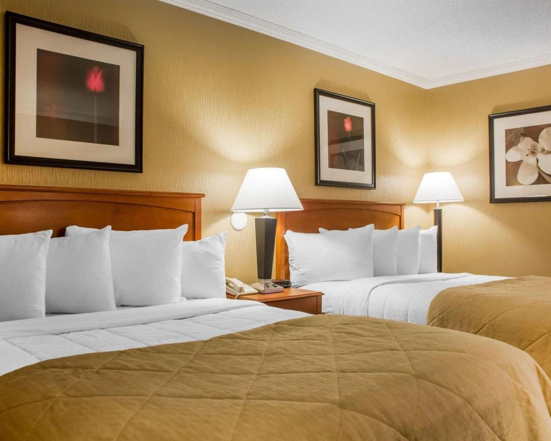Clarion Hotel & Suites Riverfront interior in Oswego, NY — gallery photo 2