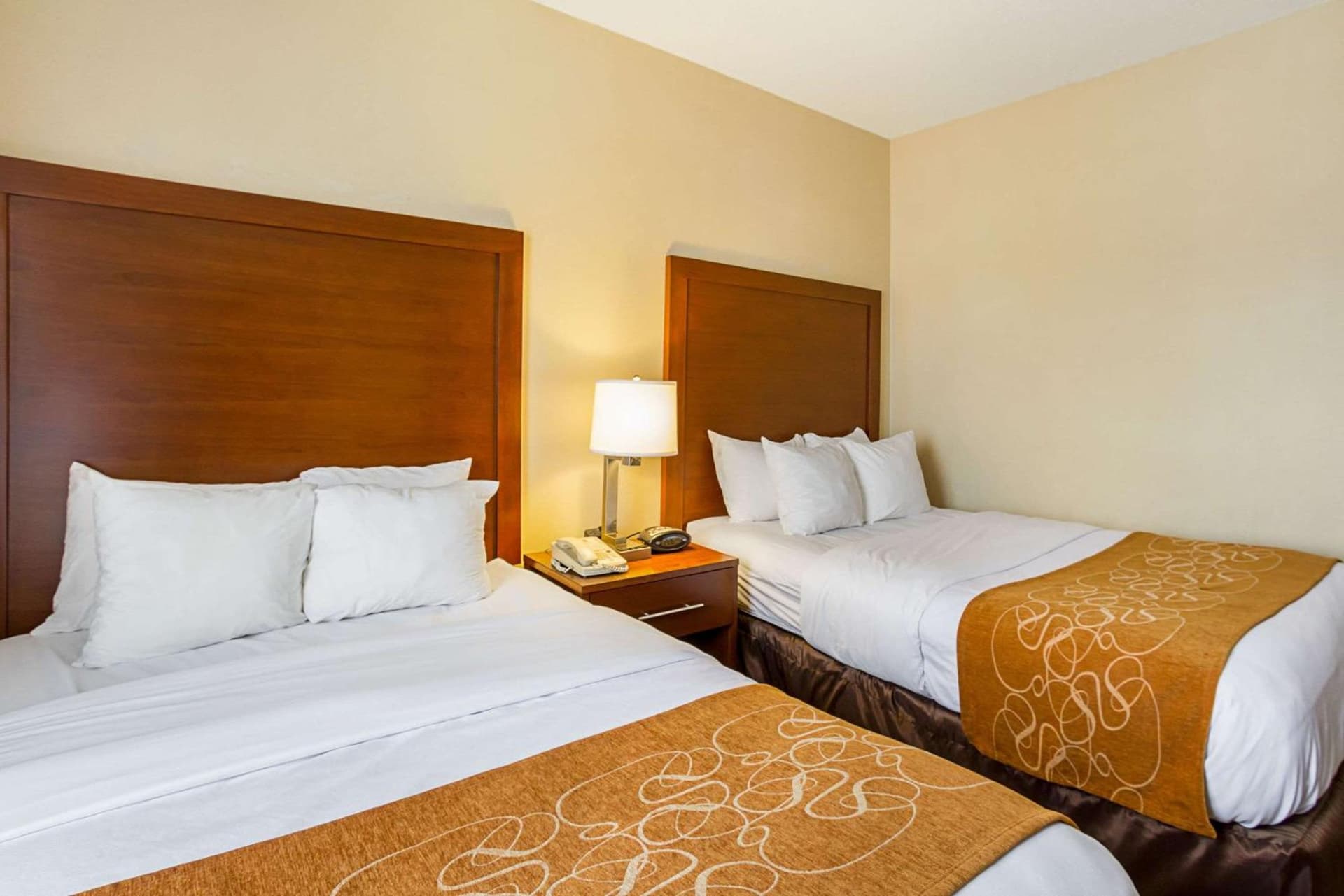 Comfort Suites Twinsburg gallery photo in Twinsburg, OH — image 37