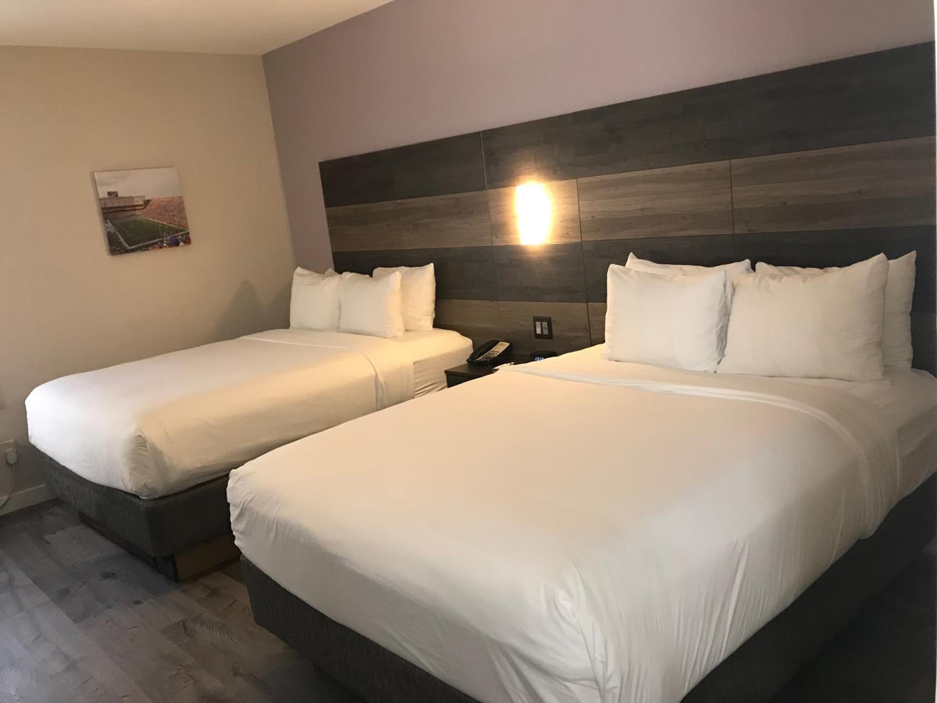 HOM Hotel Gainesville, SureStay Collection by Best Western gallery photo in Gainesville, FL — image 59