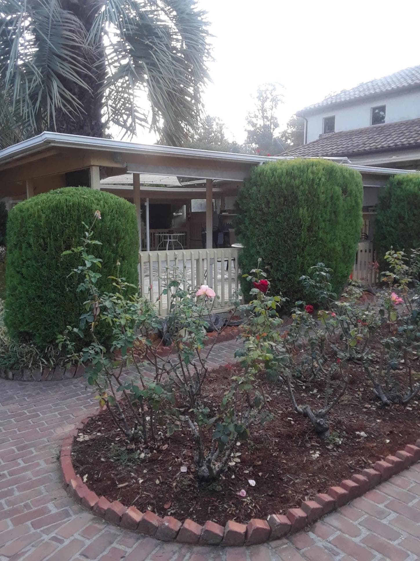 Los Gatos Garden Inn Hotel gallery photo in Los Gatos, CA — image 39