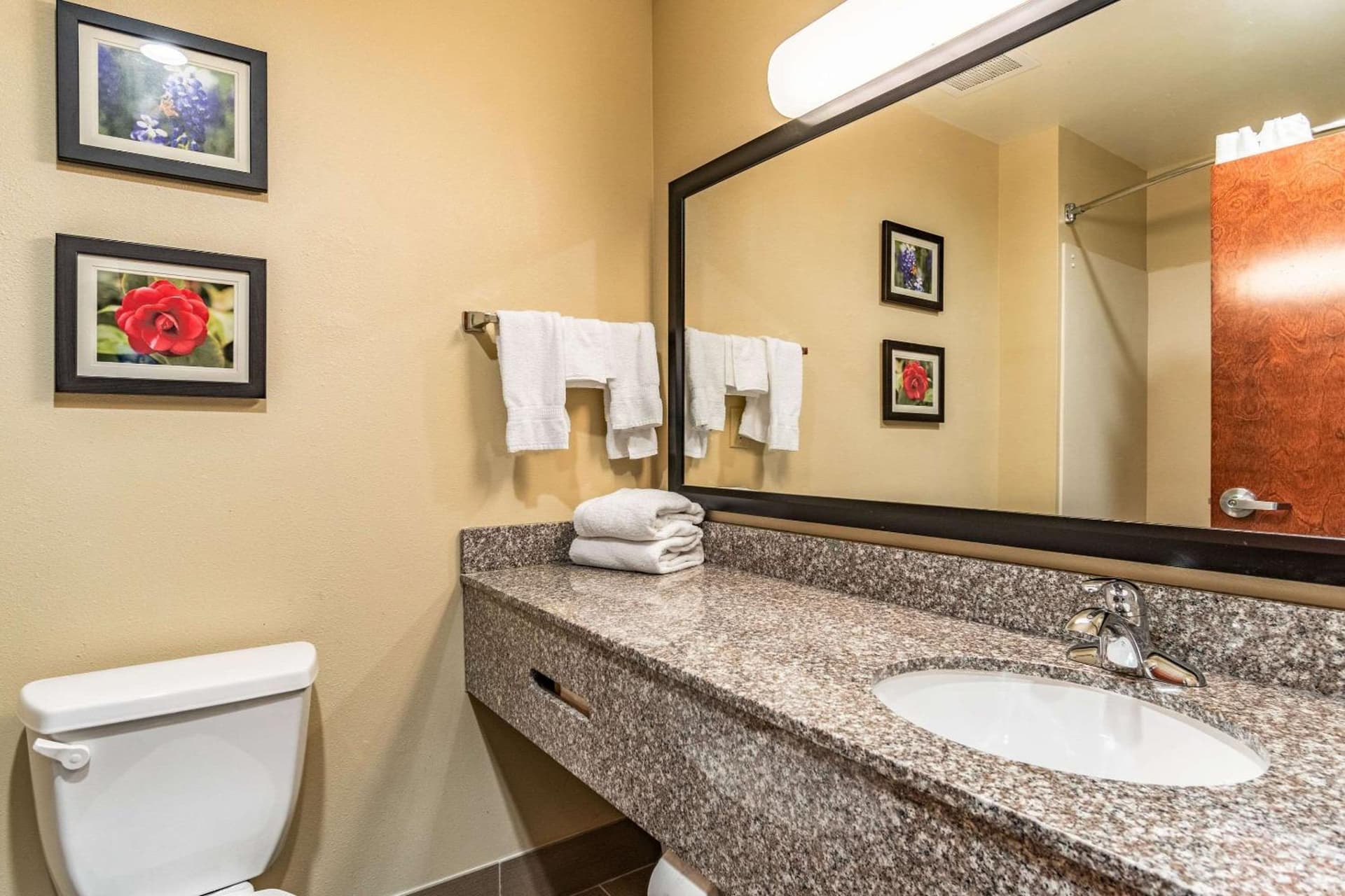 Comfort Inn & Suites Tuscumbia-Muscle Shoals interior in Tuscumbia, AL — gallery photo 2