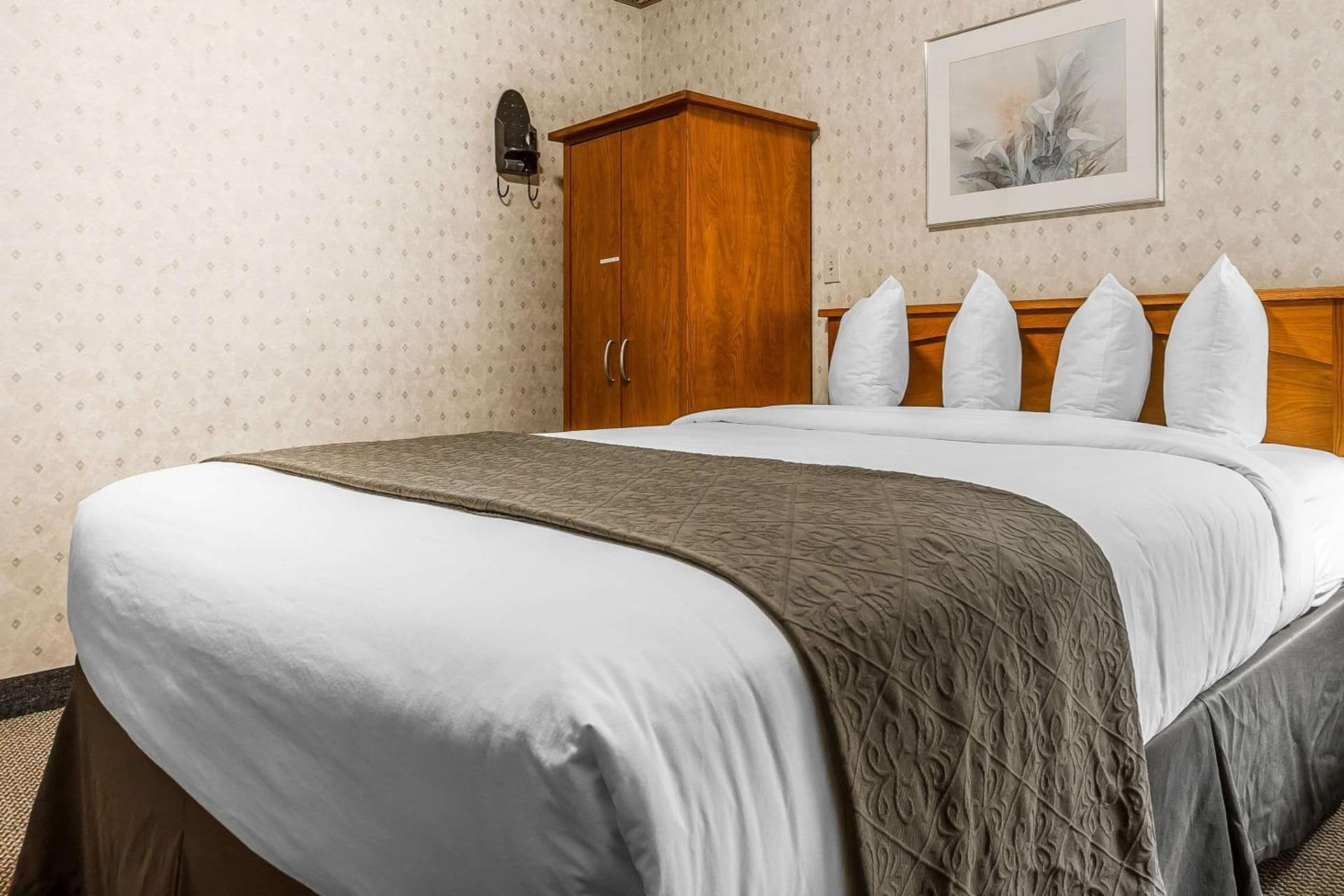 Quality Inn & Suites Silicon Valley gallery photo in Santa Clara, CA — image 41