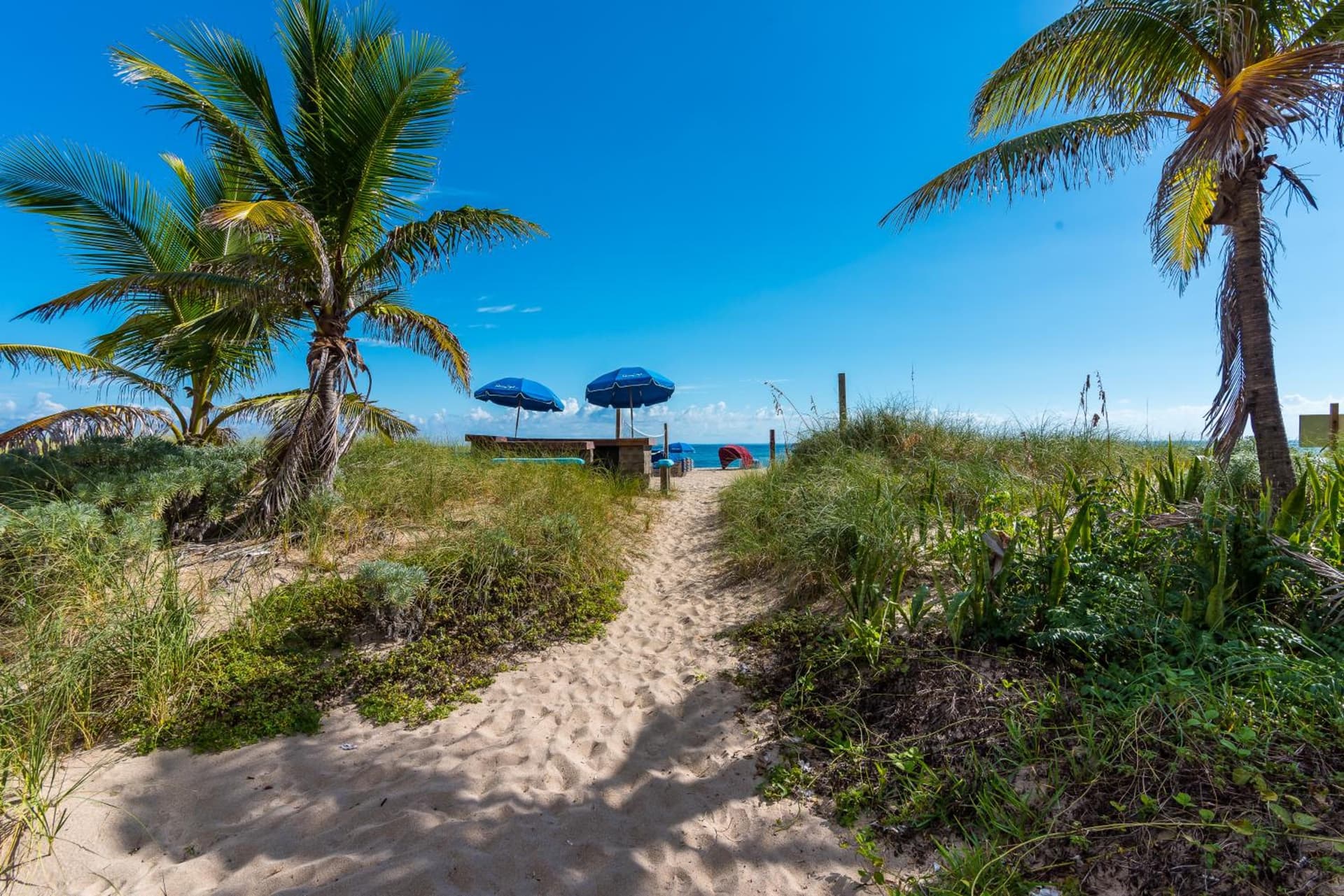 La Costa Beach Club gallery photo in Pompano Beach, FL — image 72