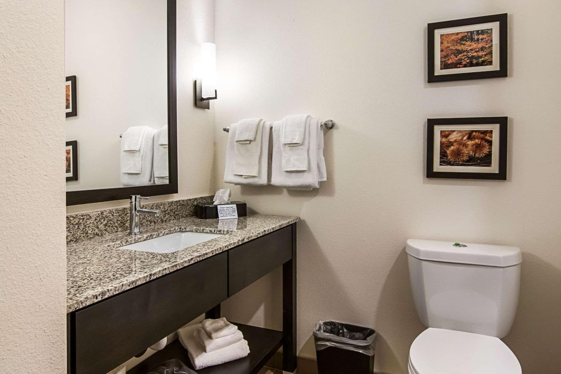 Comfort Suites Wooster near University Campus gallery photo in Wooster, OH — image 21