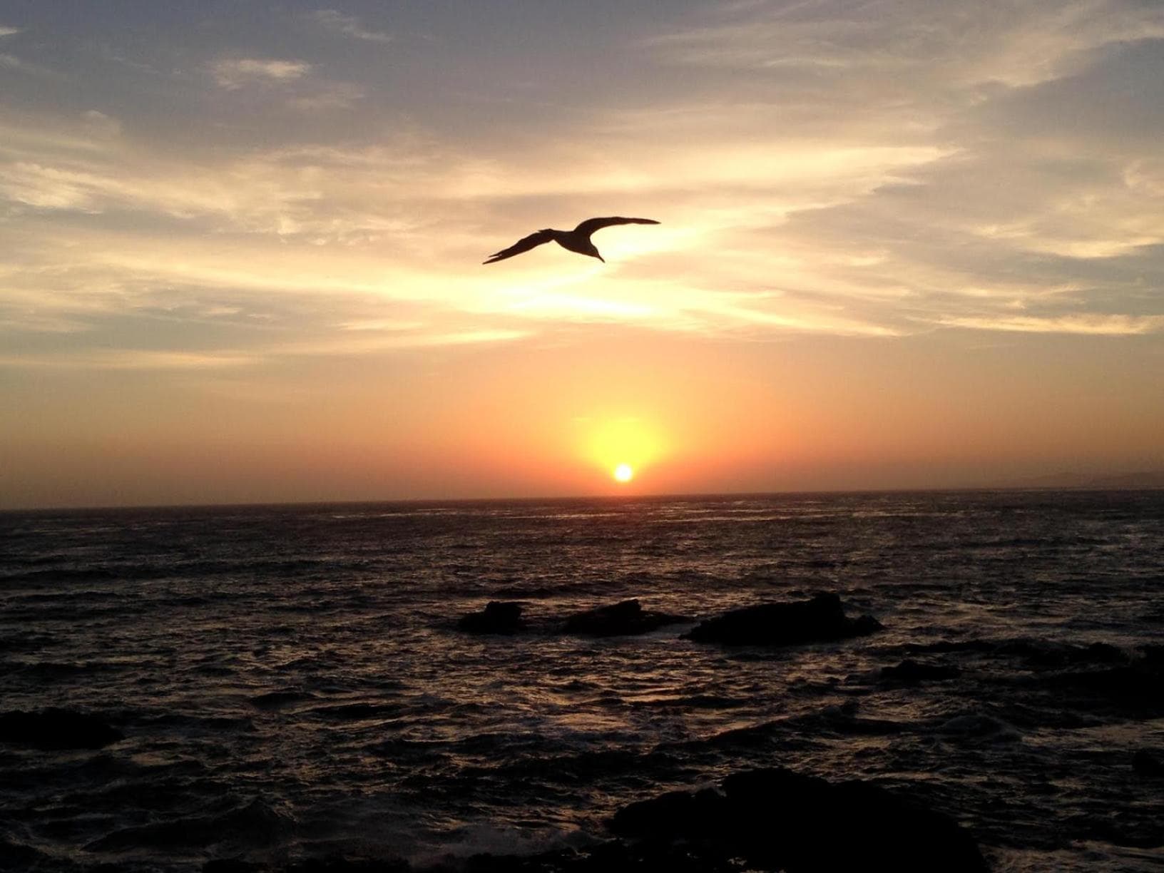 Moonstone Landing gallery photo in Cambria, CA — image 30