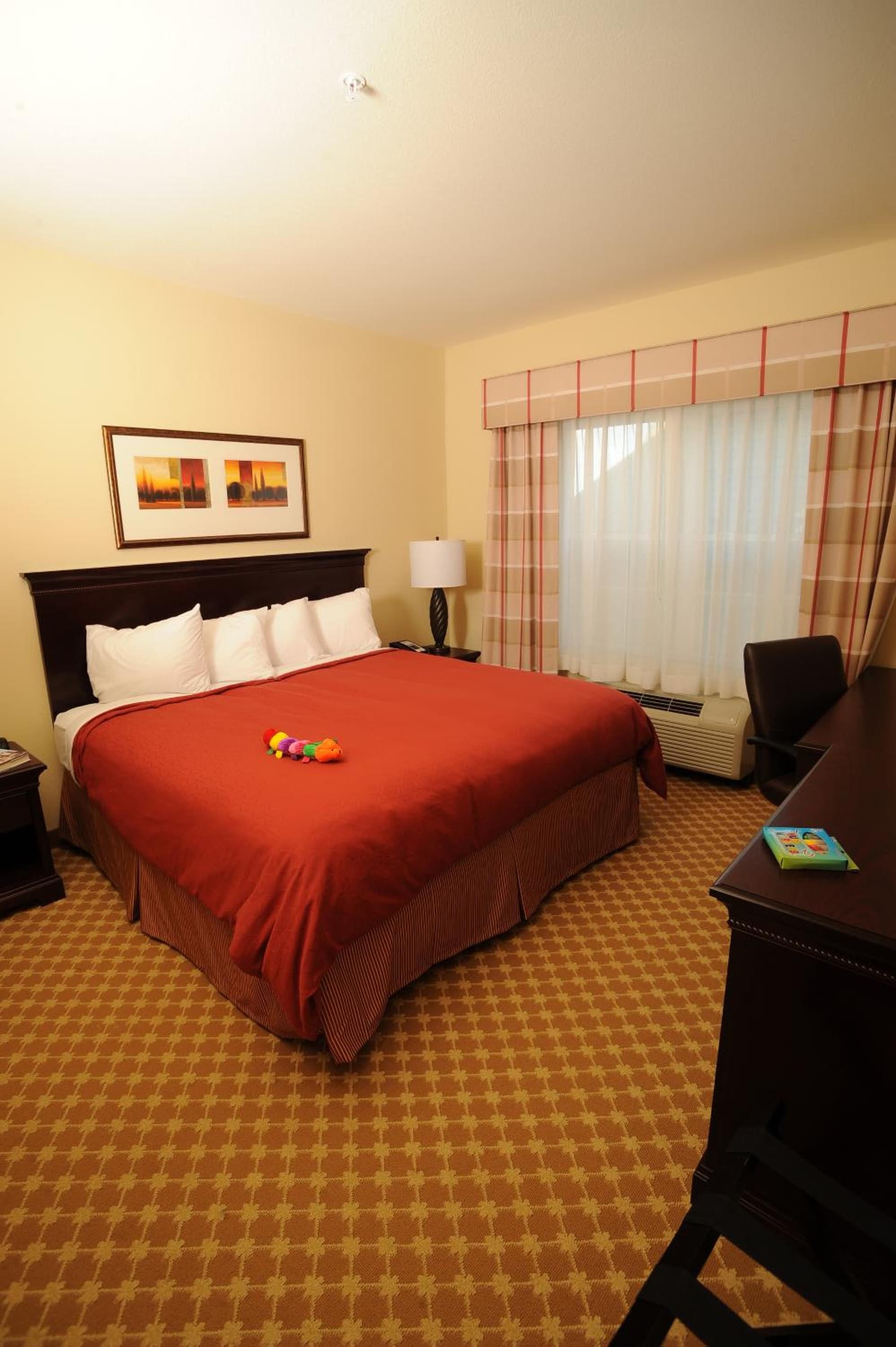 Comfort Inn & Suites Concord - Kannapolis gallery photo in Concord, NC — image 37