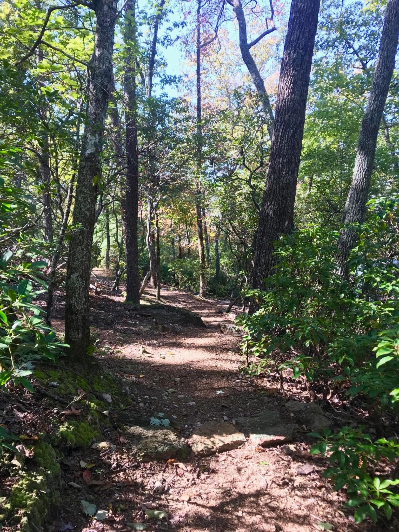 Barefoot Hills gallery photo in Dahlonega, GA — image 108