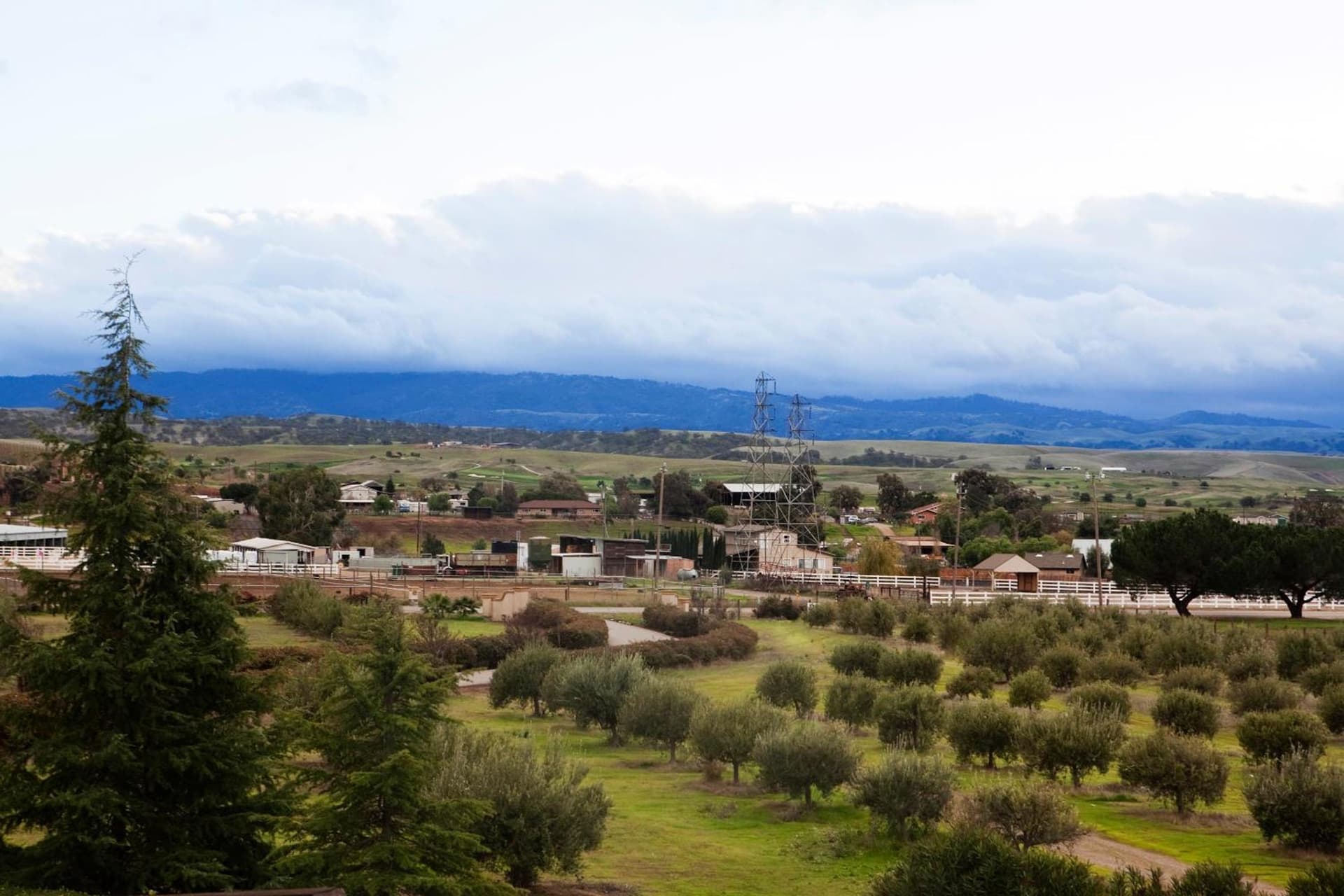 Purple Orchid Resort & Spa gallery photo in Livermore, CA — image 17