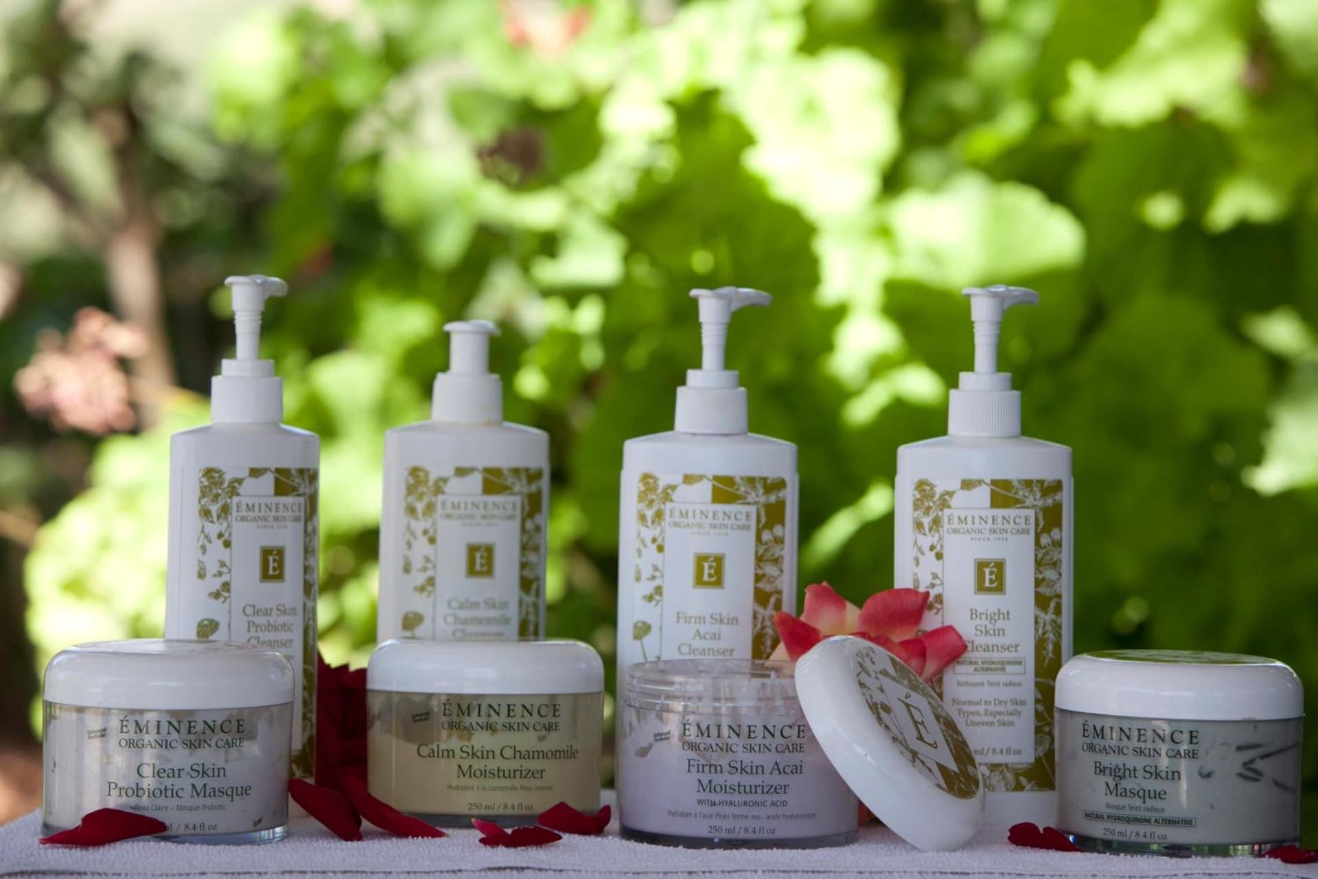 Purple Orchid Resort & Spa gallery photo in Livermore, CA — image 32