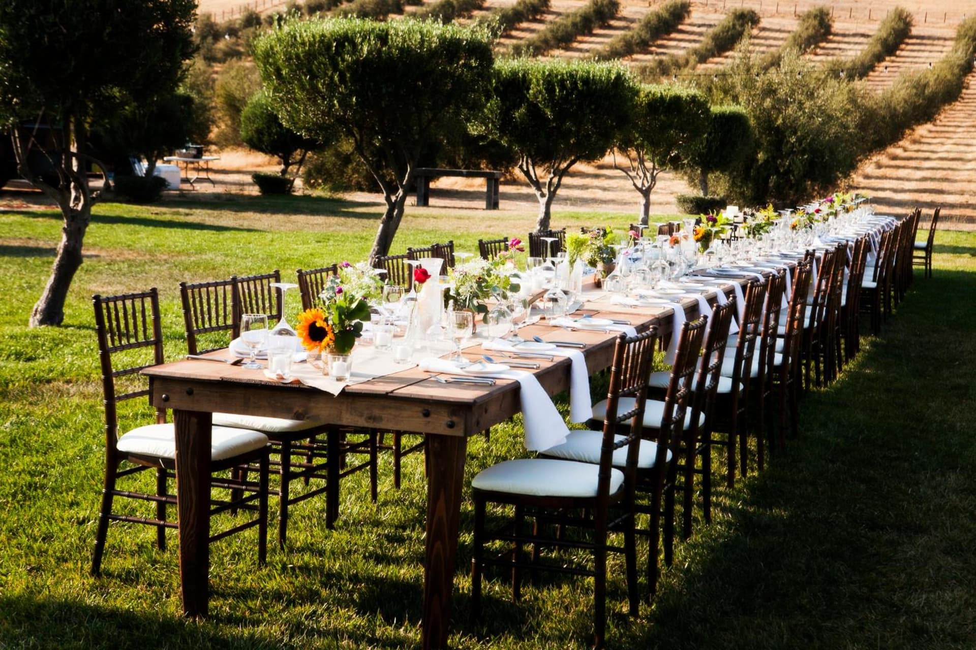 Purple Orchid Resort & Spa gallery photo in Livermore, CA — image 33