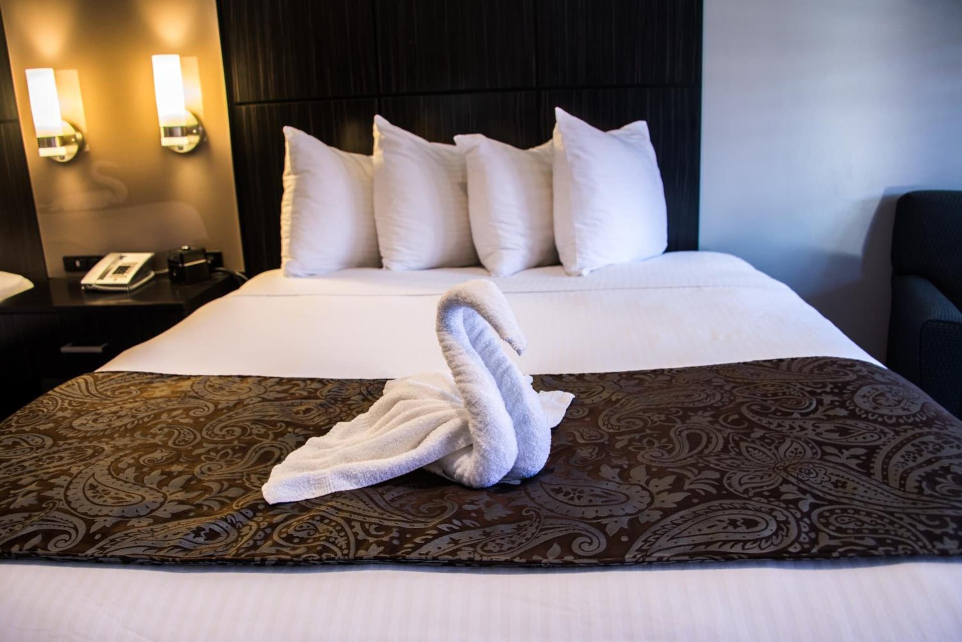 SureStay Plus by Best Western Santa Clara Silicon Valley gallery photo in Santa Clara, CA — image 21