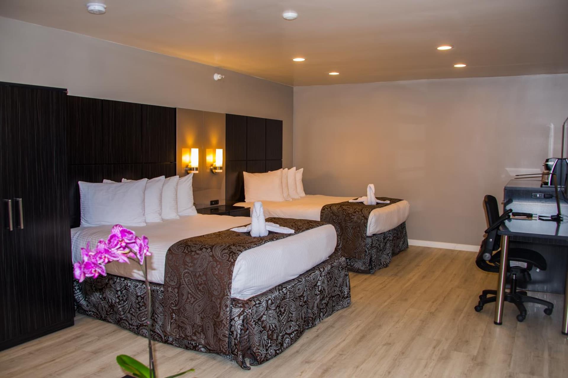 SureStay Plus by Best Western Santa Clara Silicon Valley gallery photo in Santa Clara, CA — image 14