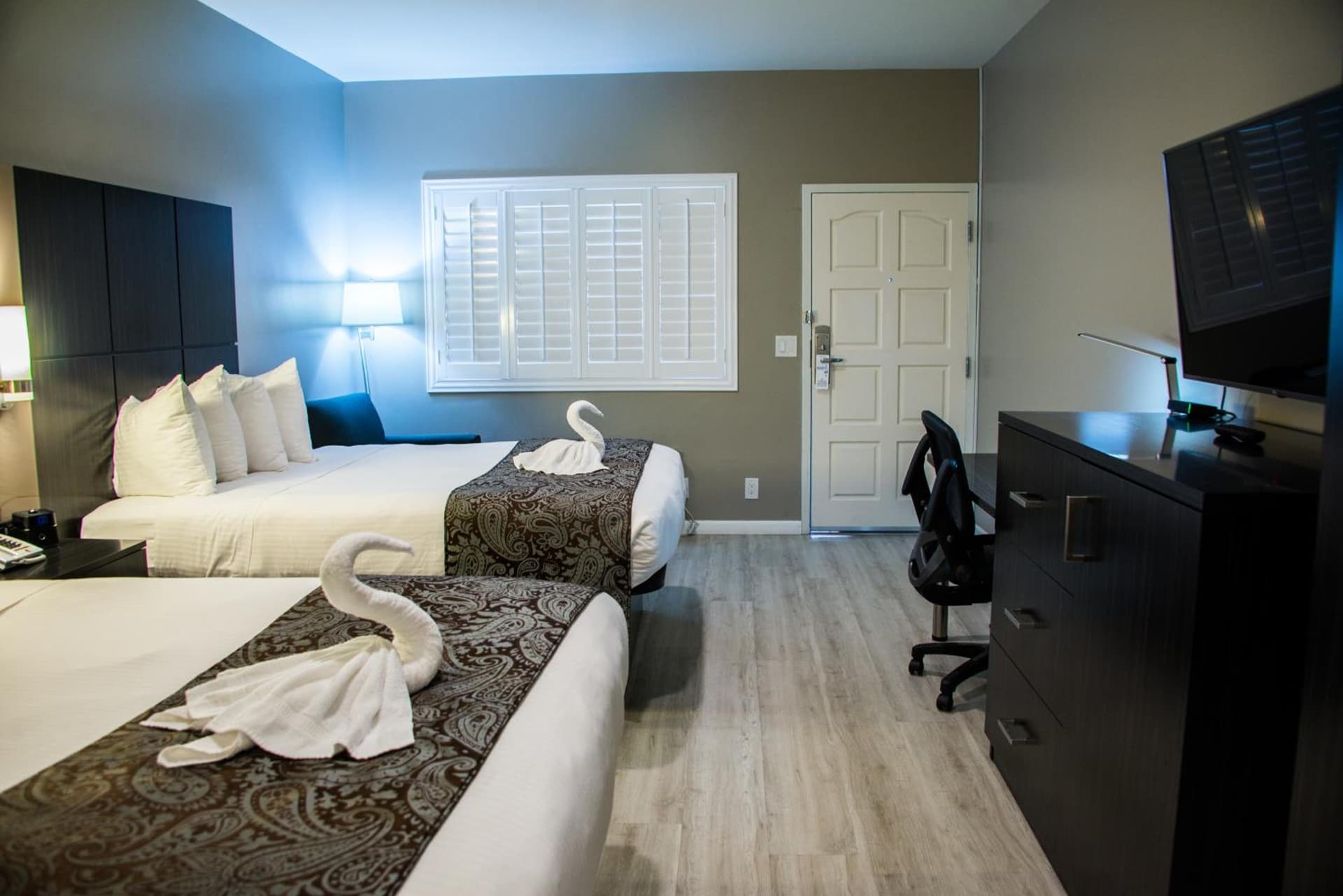 SureStay Plus by Best Western Santa Clara Silicon Valley gallery photo in Santa Clara, CA — image 7