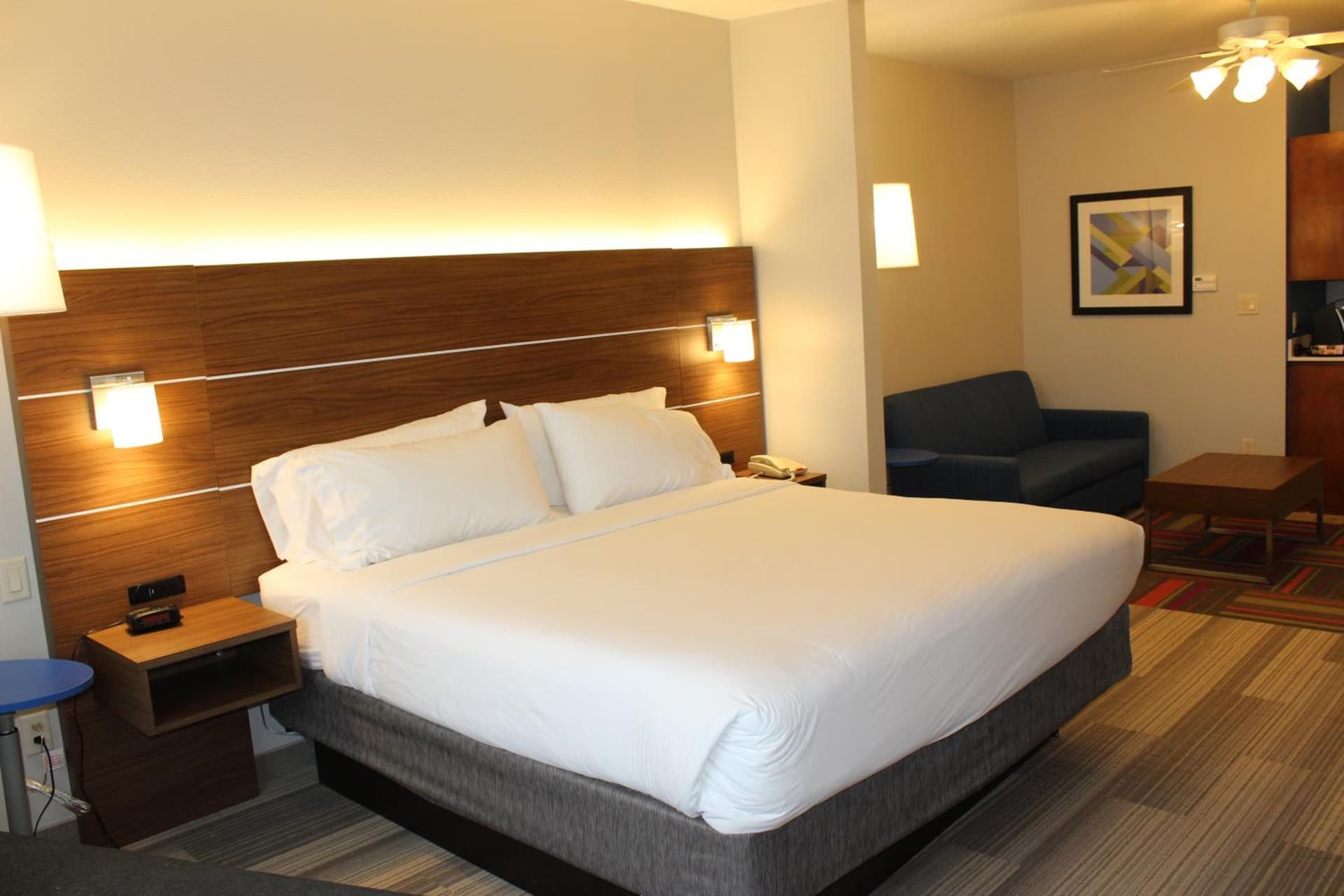 Holiday Inn Express Hotel & Suites Mansfield by IHG gallery photo in Mansfield, TX — image 27