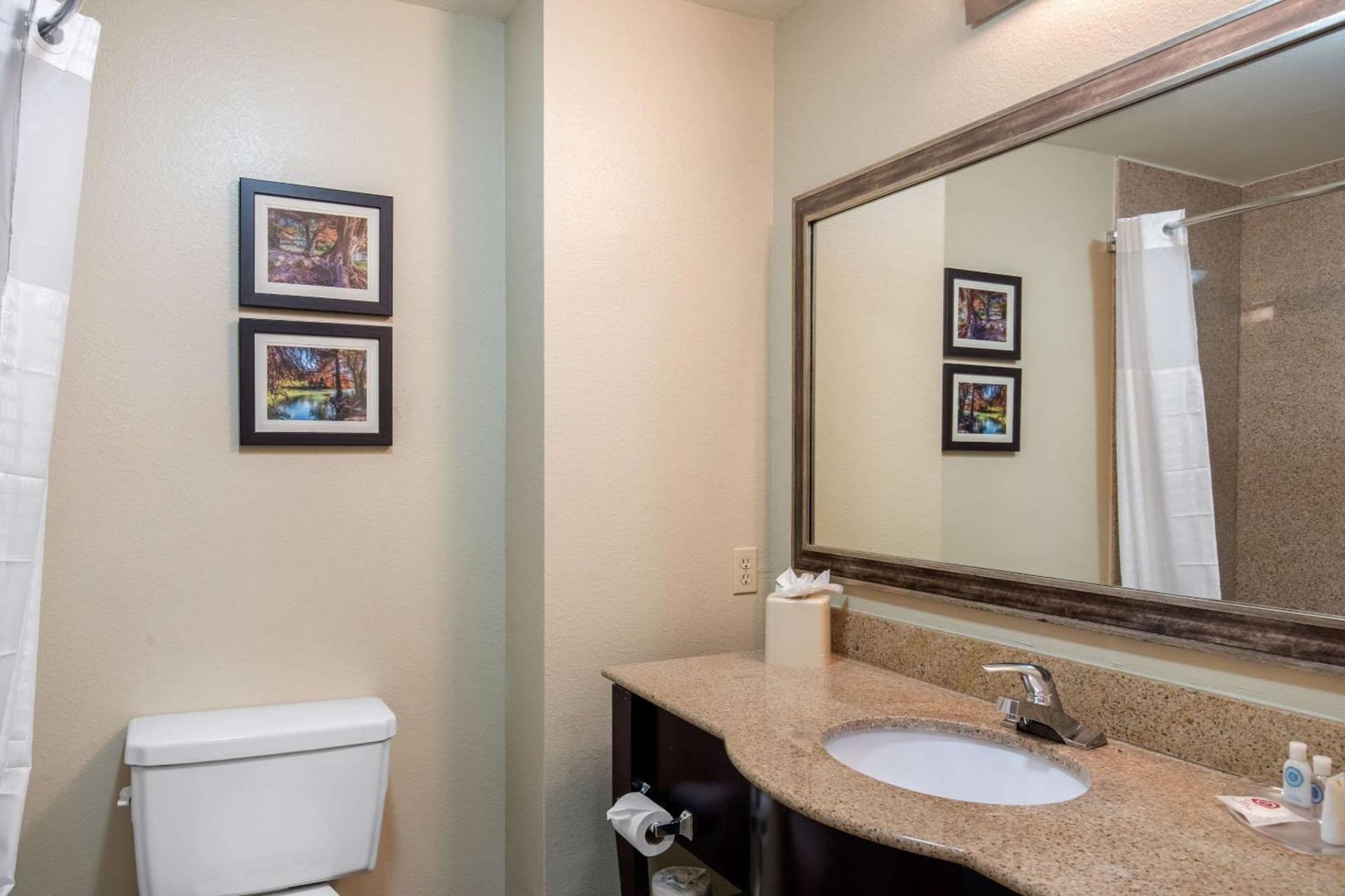 Comfort Inn & Suites Cedar Hill Duncanville gallery photo in Cedar Hill, TX — image 21
