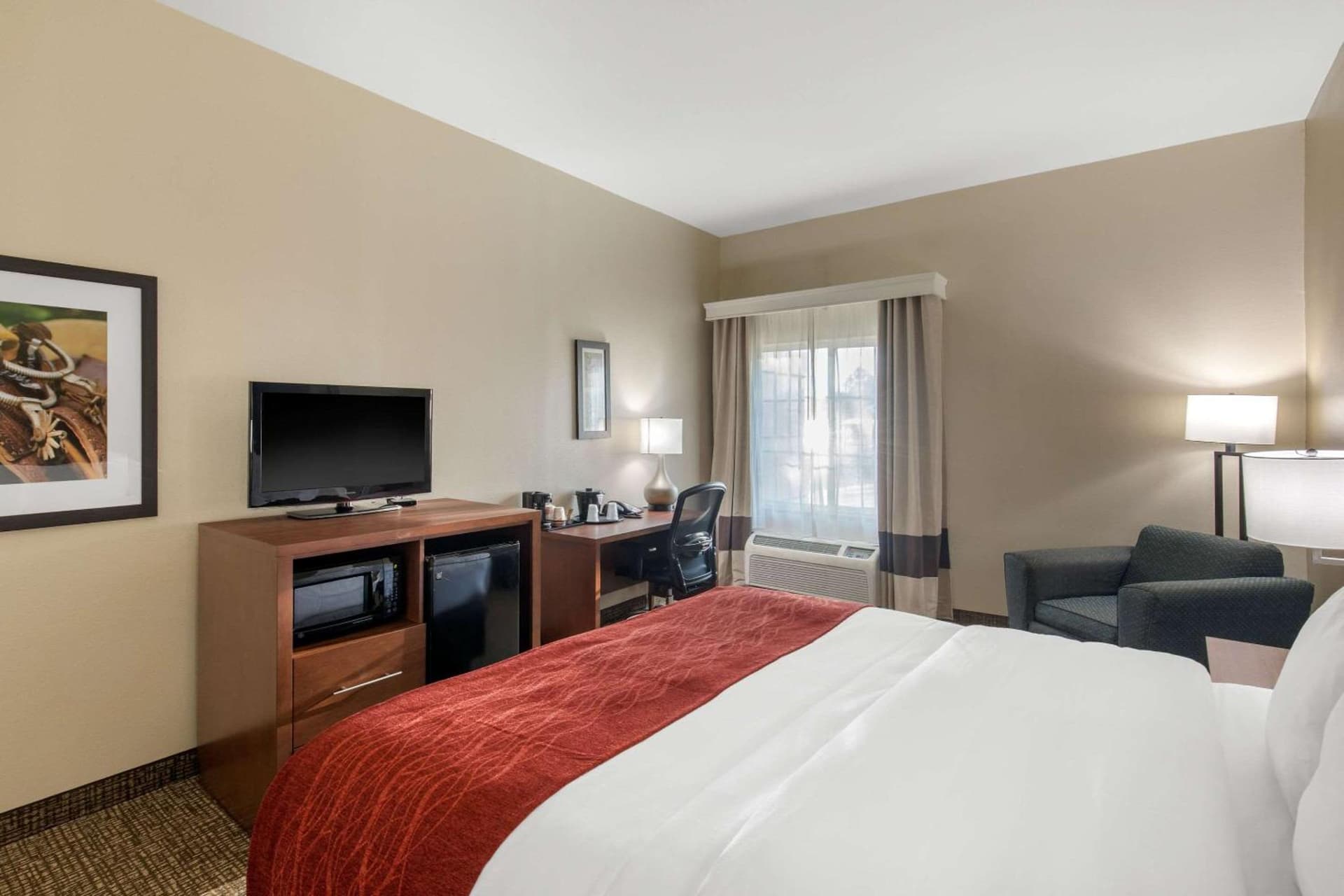 Comfort Inn & Suites Cedar Hill Duncanville gallery photo in Cedar Hill, TX — image 13