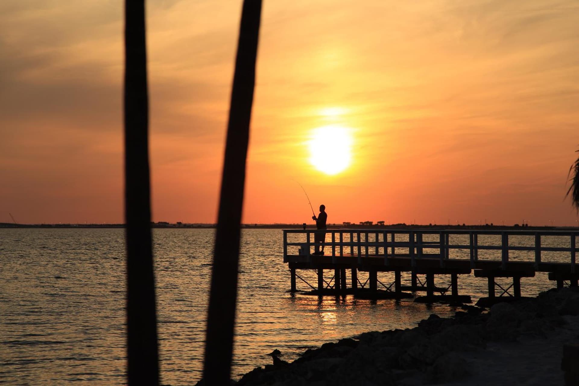 Sailport Waterfront Suites gallery photo in Tampa, FL — image 46