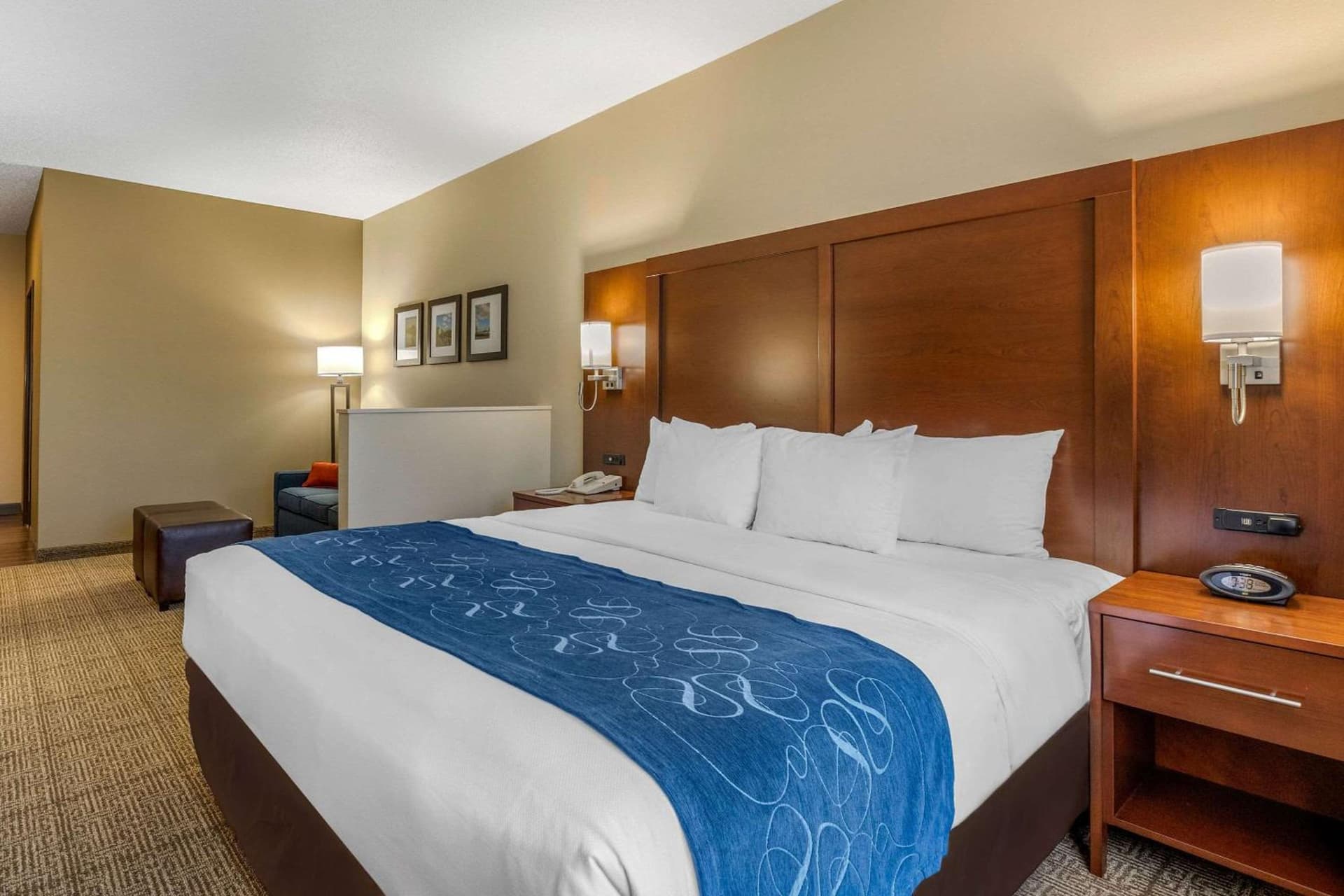 Comfort Suites Cedar Falls Industrial Park interior in Cedar Falls, IA — gallery photo 2