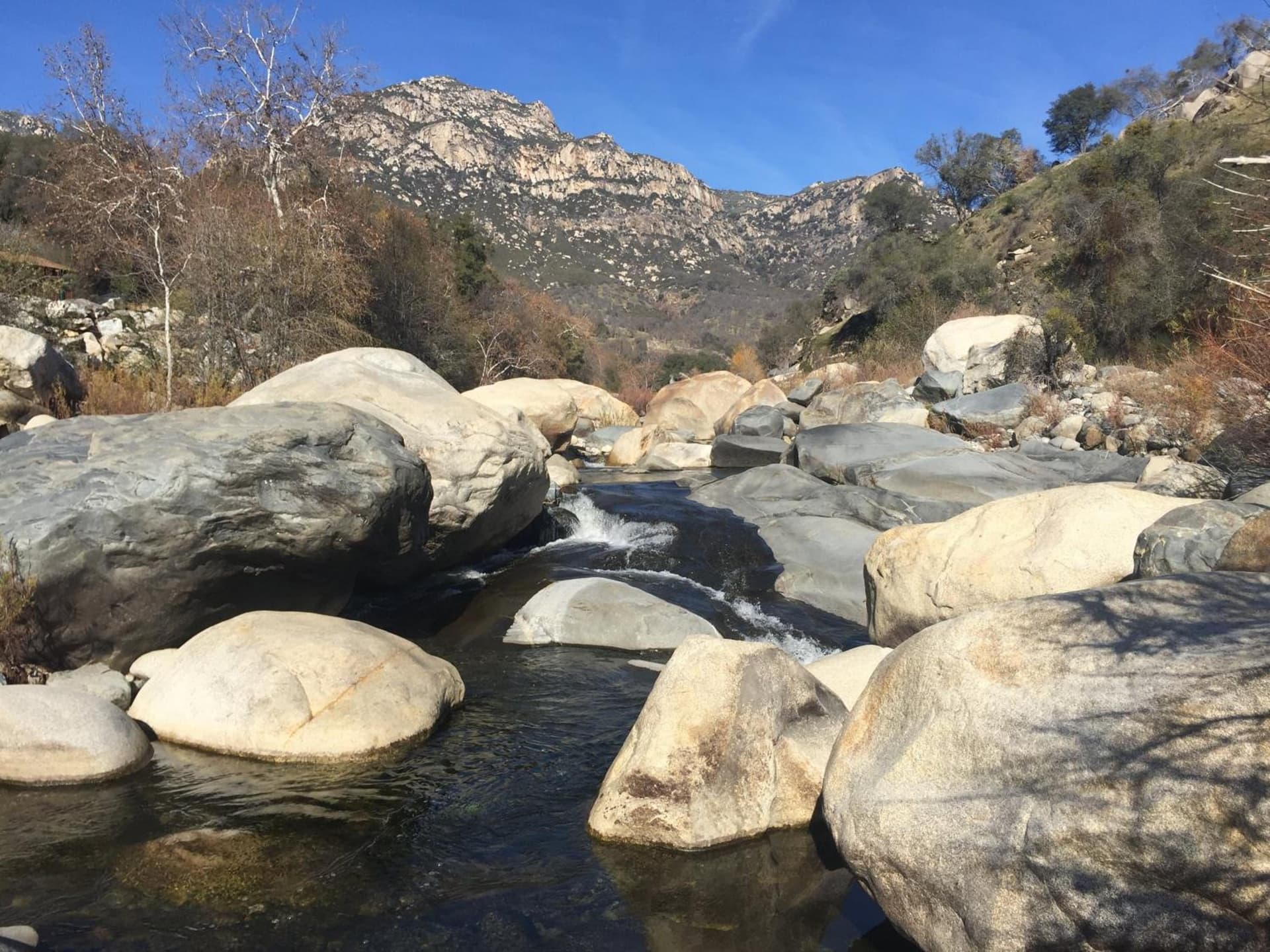 Buckeye Tree Lodge gallery photo in Three Rivers, CA — image 36