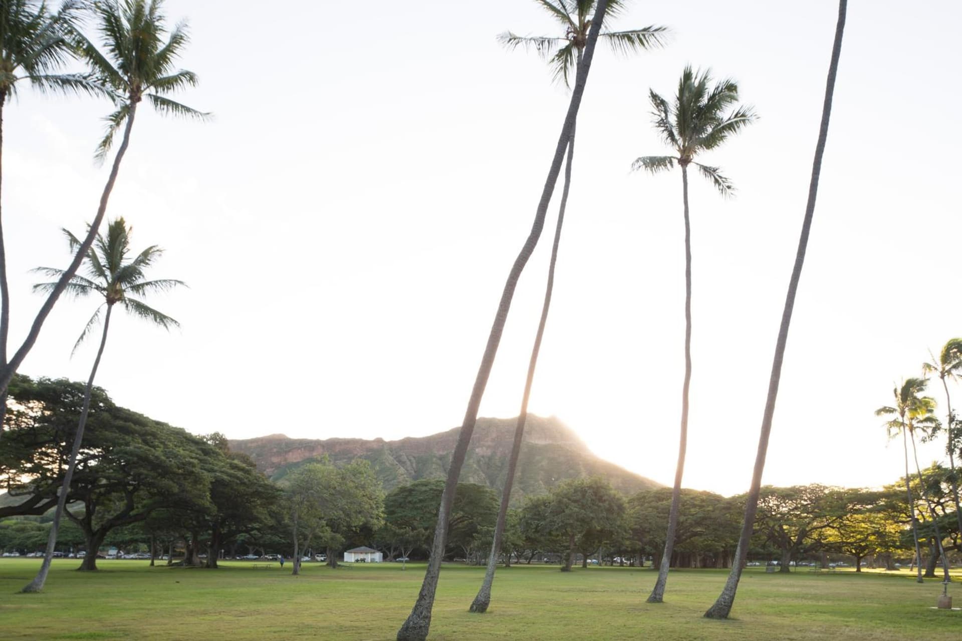 Lotus Honolulu at Diamond Head gallery photo in Honolulu, HI — image 20